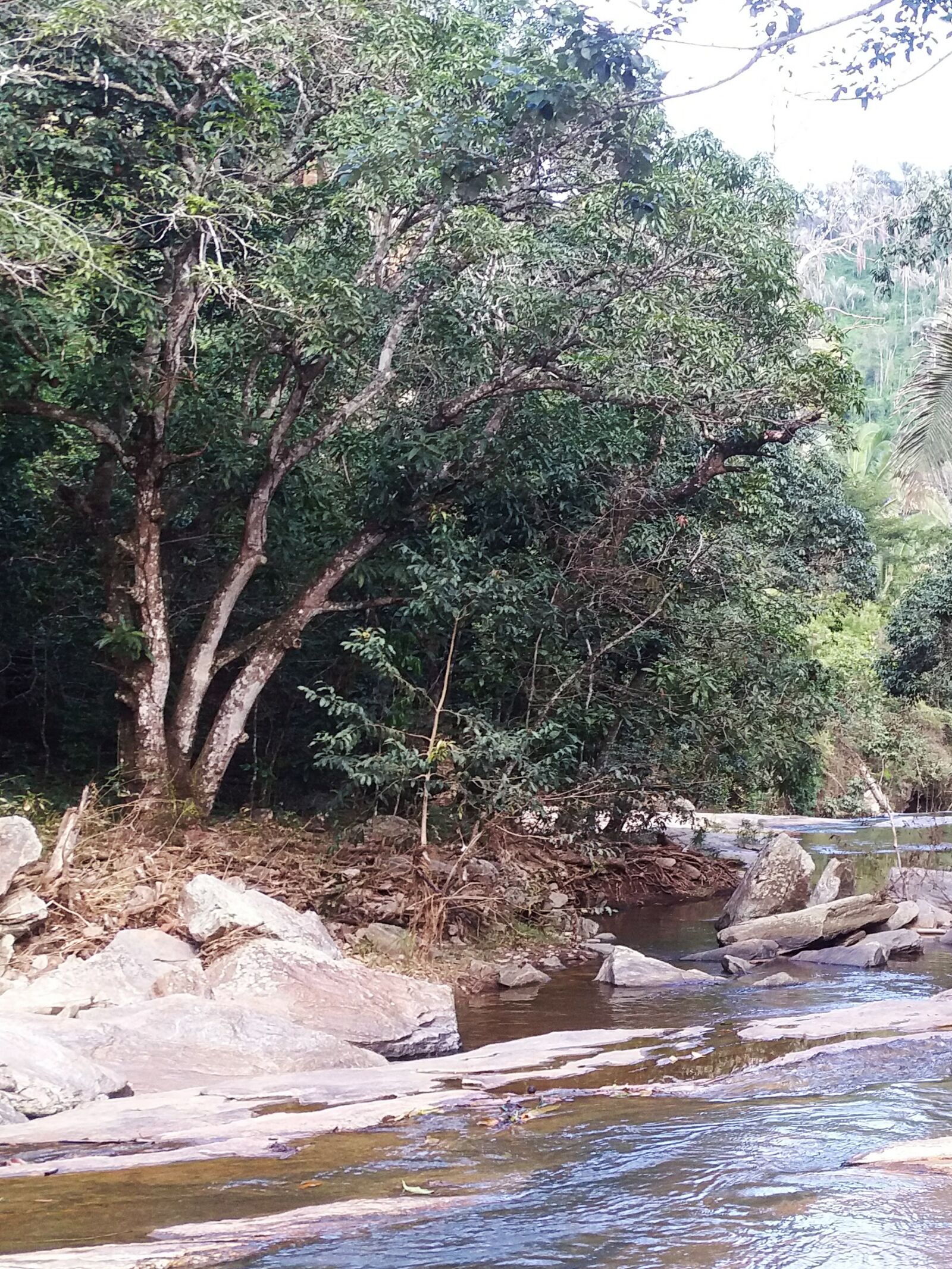 Samsung Galaxy A9 Pro sample photo. River, water, waterfall photography