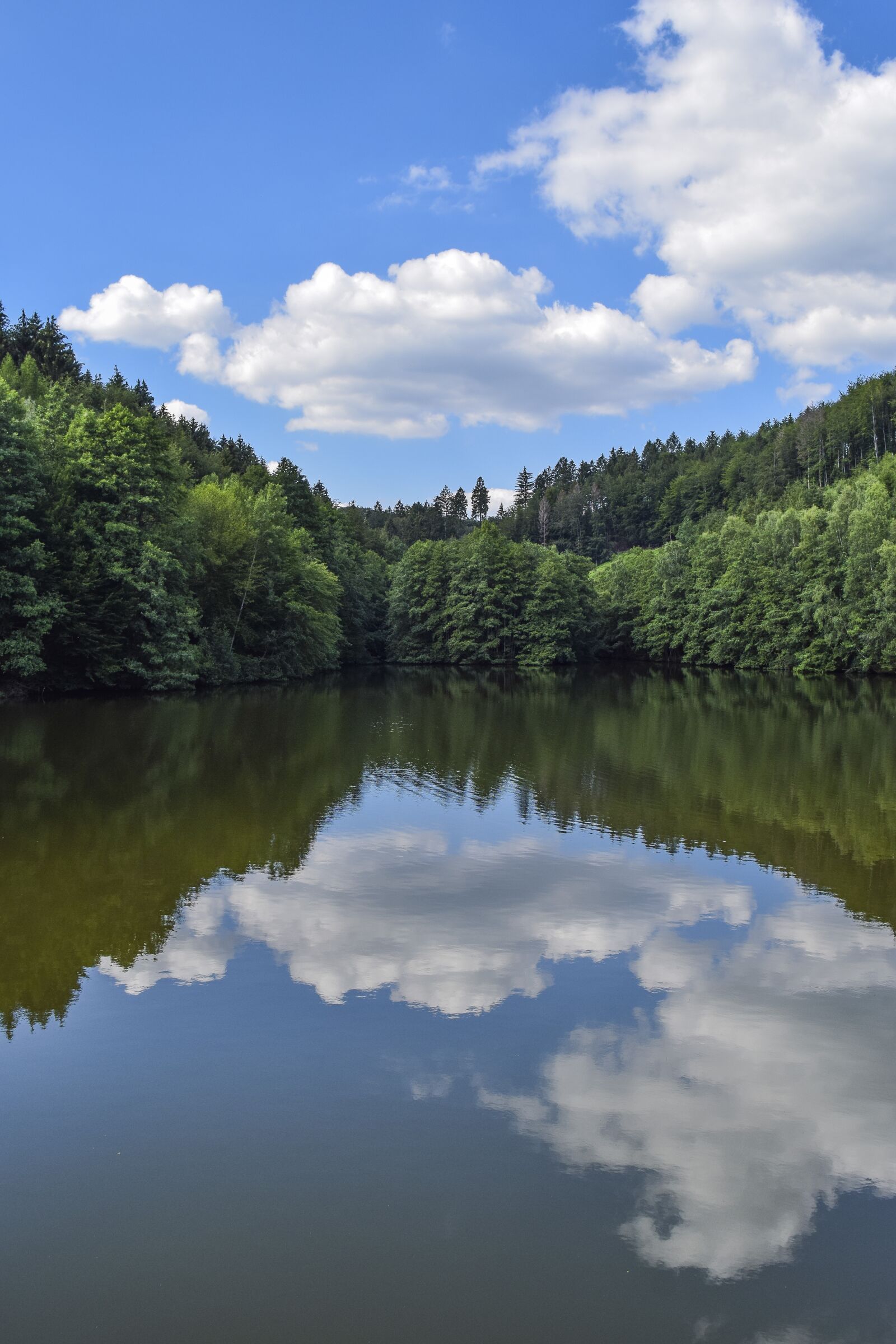 Nikon D3300 sample photo. Forest, nature, landscape photography