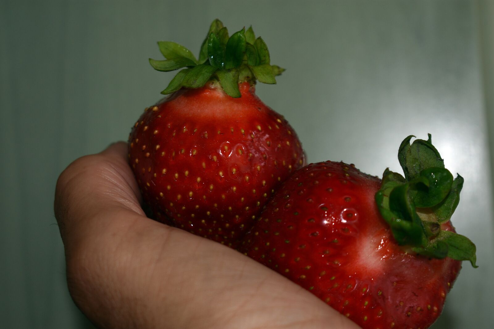 Nikon D3400 sample photo. Strawberries, strawberry, garden photography