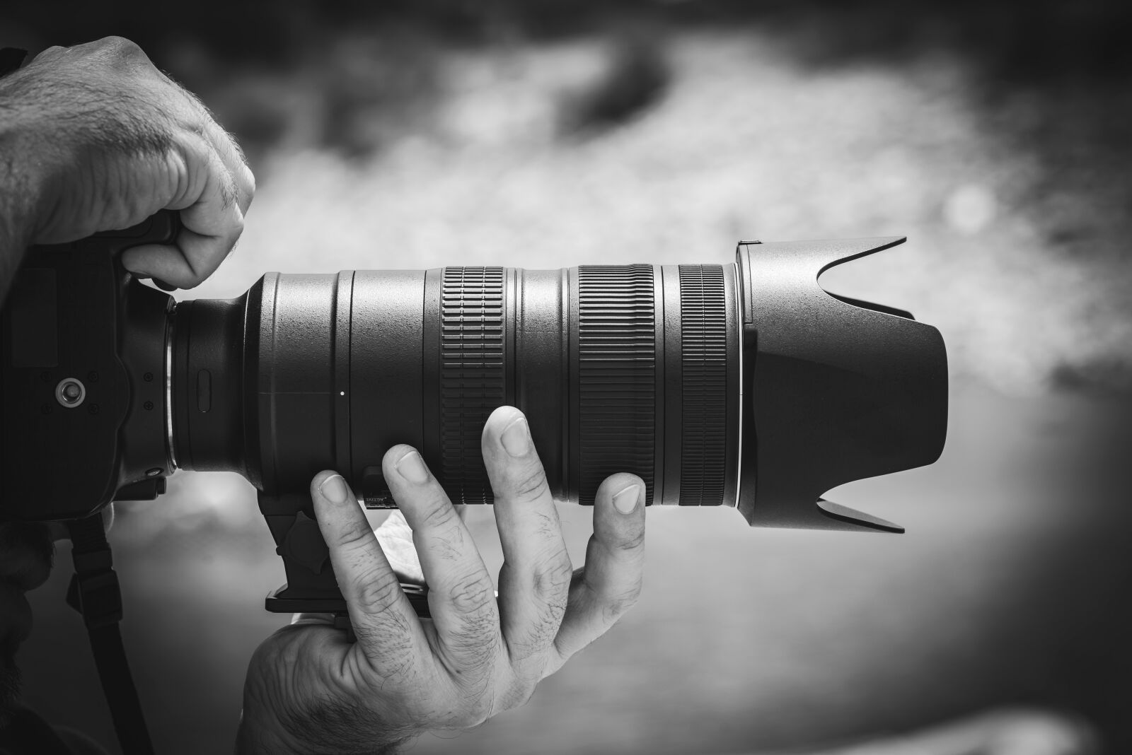 Nikon D800 sample photo. Dslr, cam, camera photography