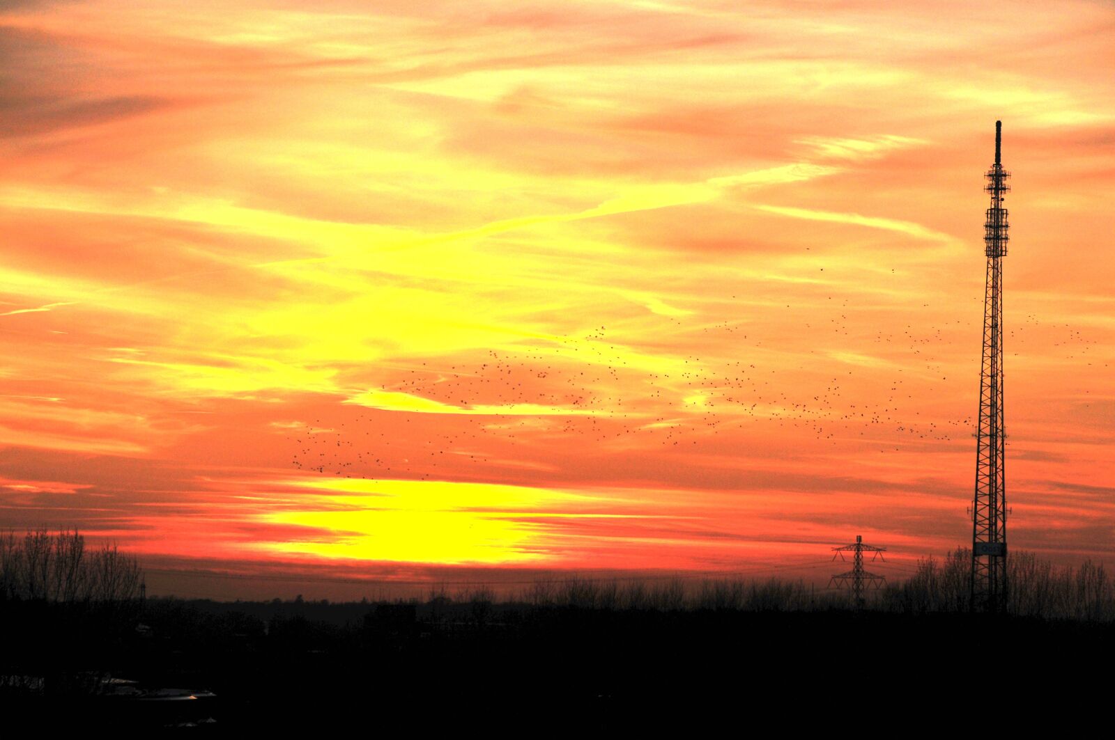 Nikon D300 sample photo. Sunset, dawn, silhouette photography