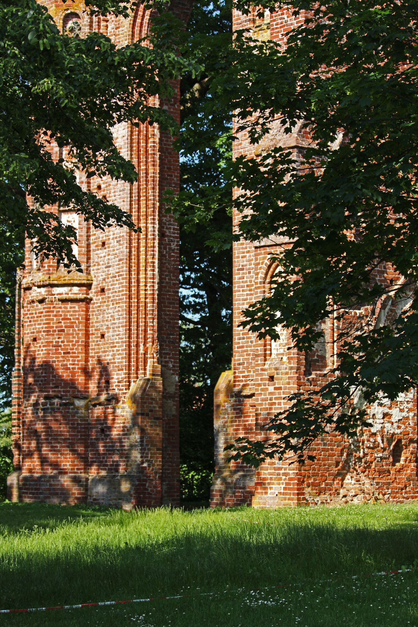 Canon EF-S 55-250mm F4-5.6 IS STM sample photo. Ruins of eldena abbey photography