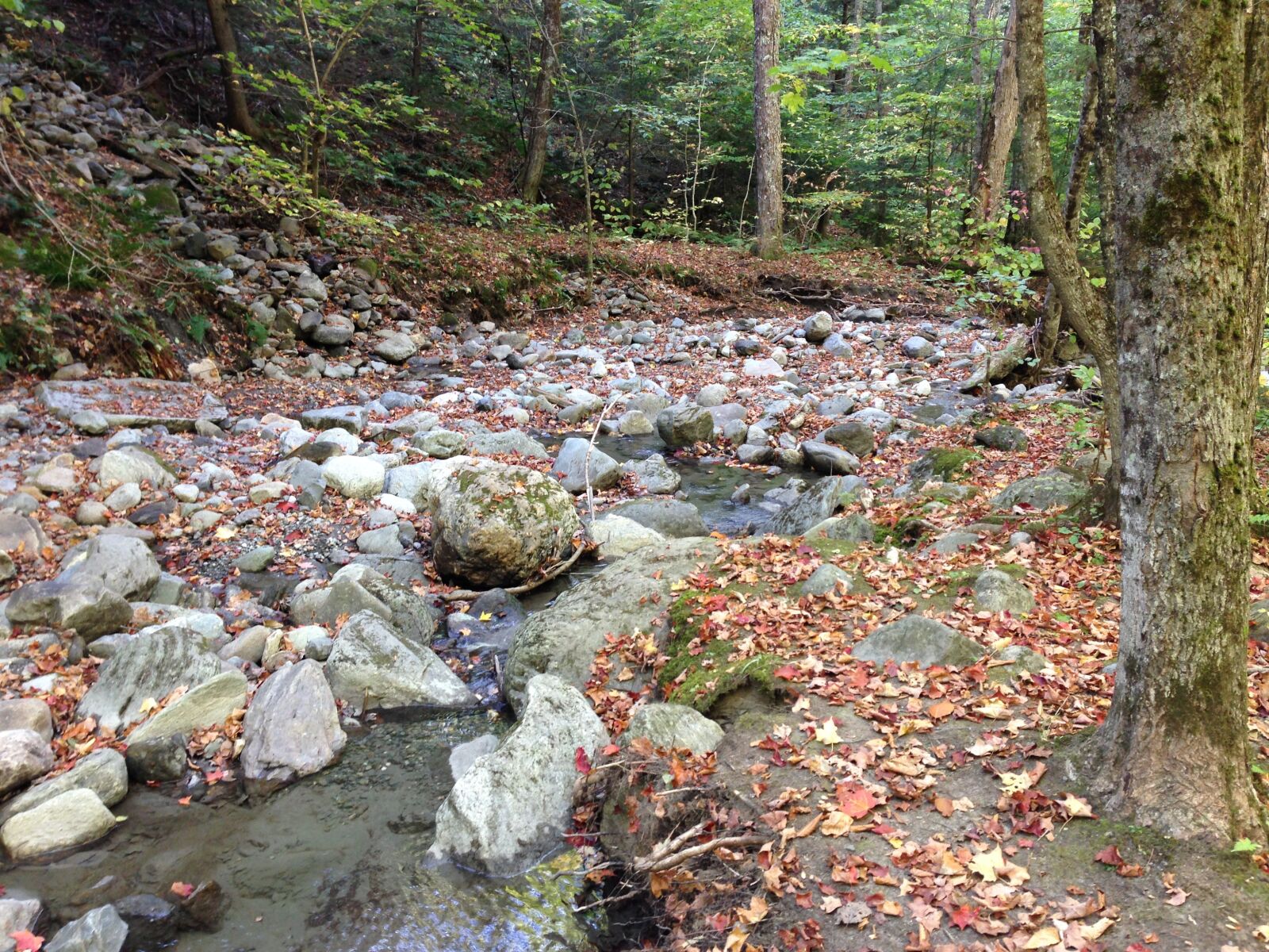 iPhone 5 back camera 4.12mm f/2.4 sample photo. Autumn landscape, rocks, creek photography