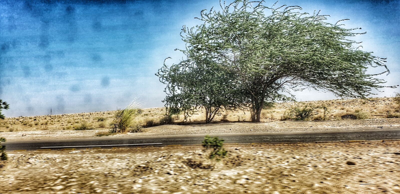 Samsung Galaxy Note9 sample photo. Tree, desert, road photography