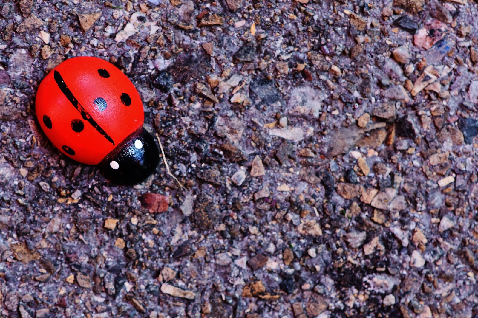 Nikon D7200 sample photo. Ladybug, wood, greeting card photography