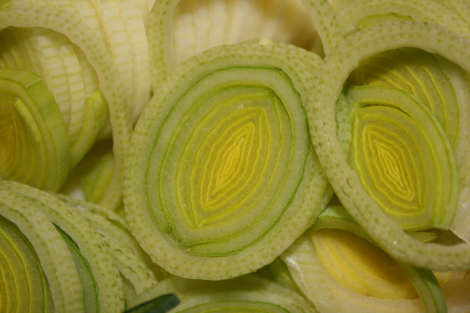 Canon EOS 400D (EOS Digital Rebel XTi / EOS Kiss Digital X) sample photo. Onion, leek, broadband leek photography
