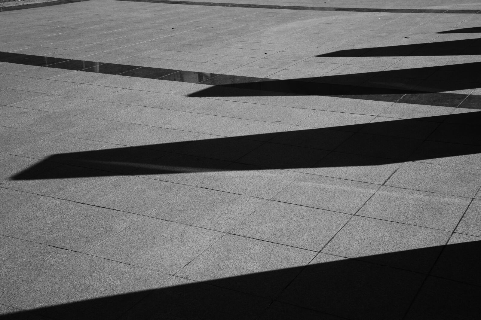 Nikon D700 sample photo. Line, shadow, black and photography
