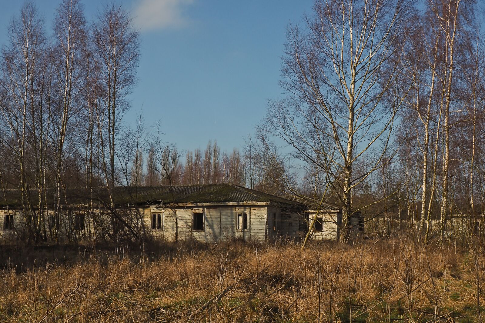 Olympus OM-D E-M10 sample photo. Lost places, barracks, abandoned photography