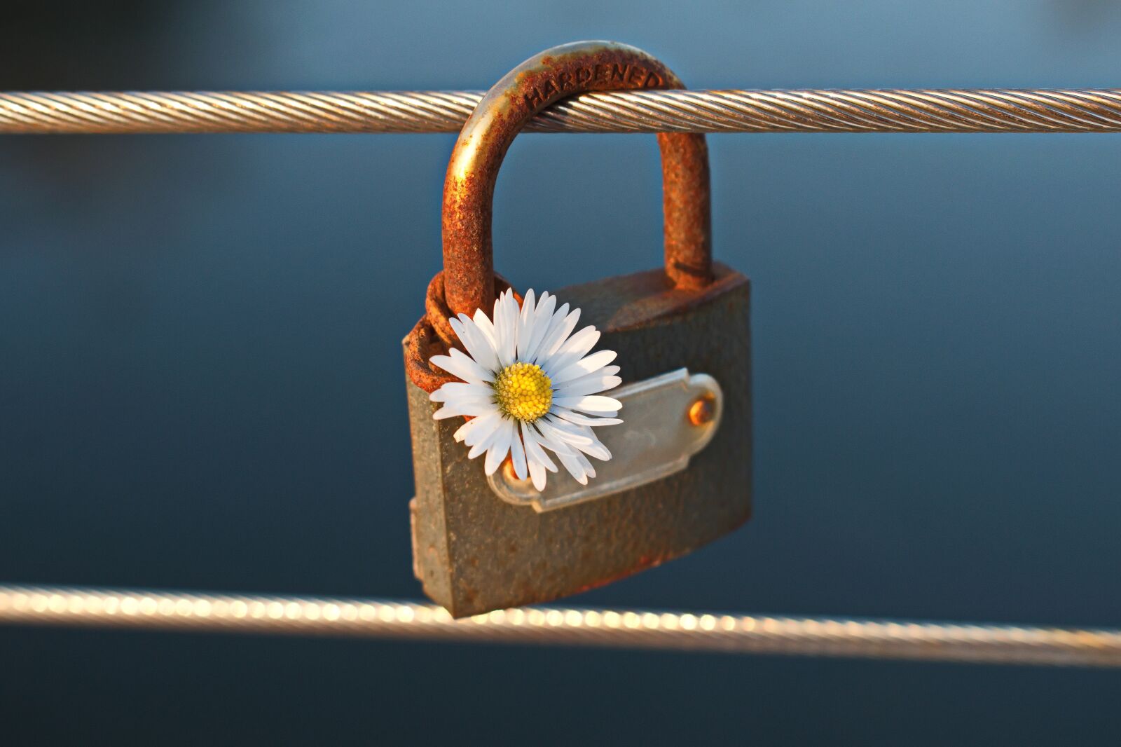 Nikon D3300 sample photo. Padlock, rust, lock photography