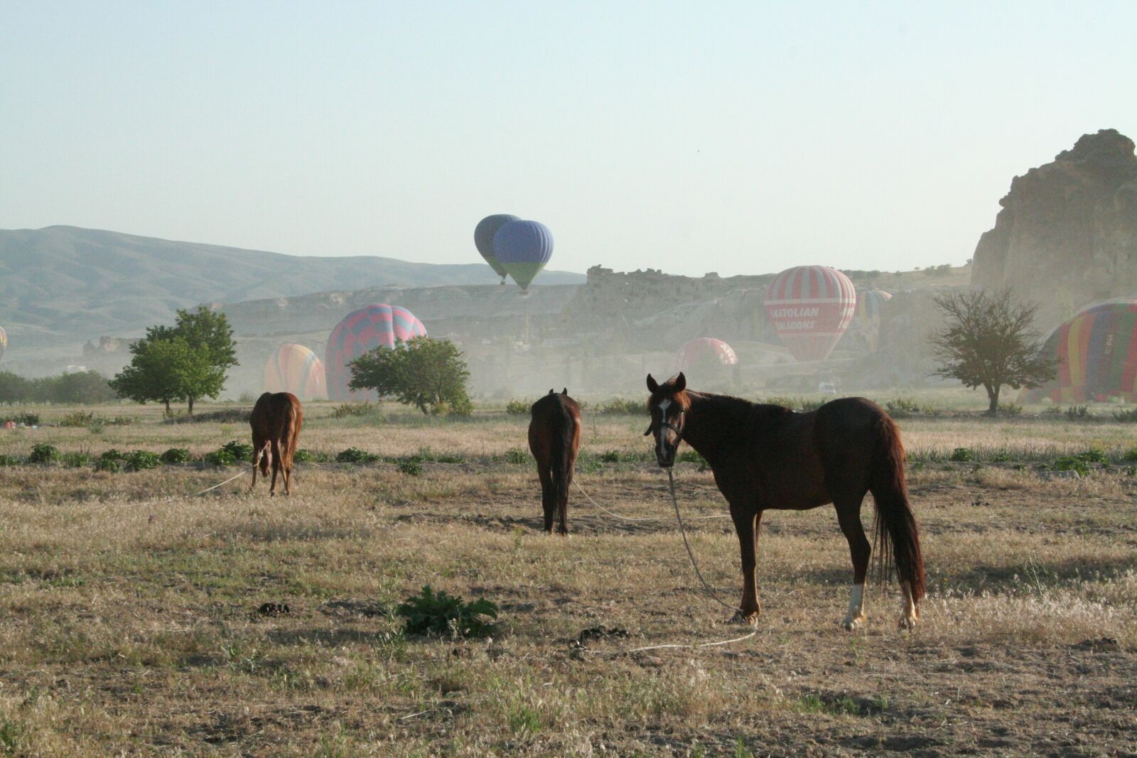 Canon EOS 350D (EOS Digital Rebel XT / EOS Kiss Digital N) sample photo. Balloon, balloons, ballooning photography