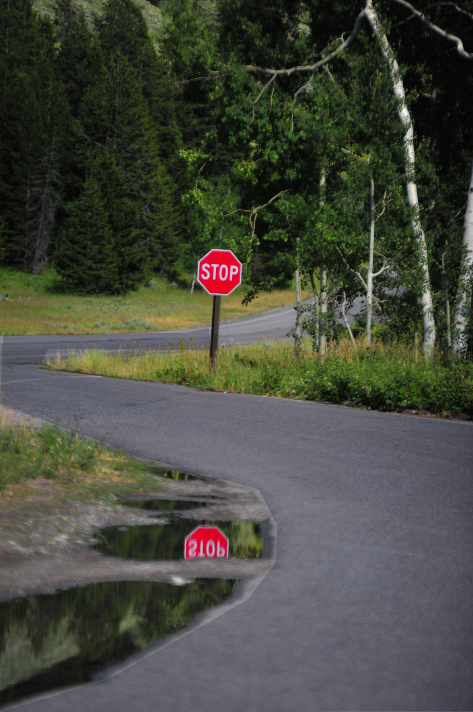 Nikon D3S sample photo. Oad, road, sign, stop photography