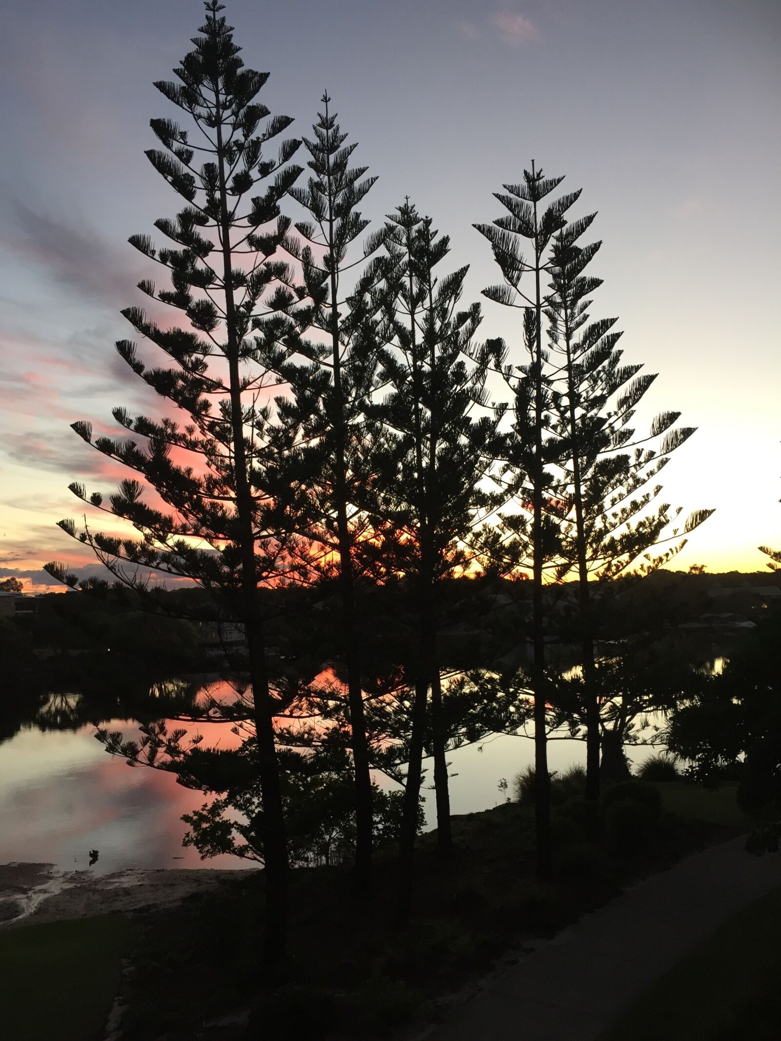 Apple iPhone 6 sample photo. Sunset, trees, lagoon photography