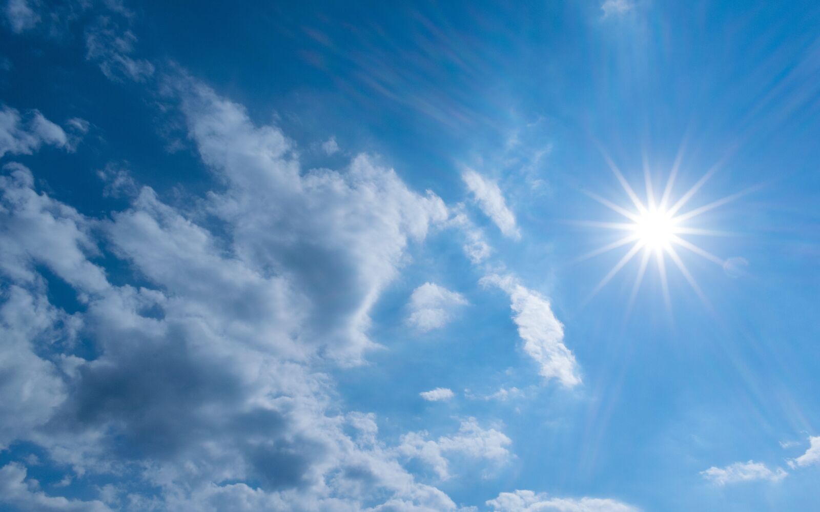Nikon D3300 sample photo. Nature, summer, the sun photography