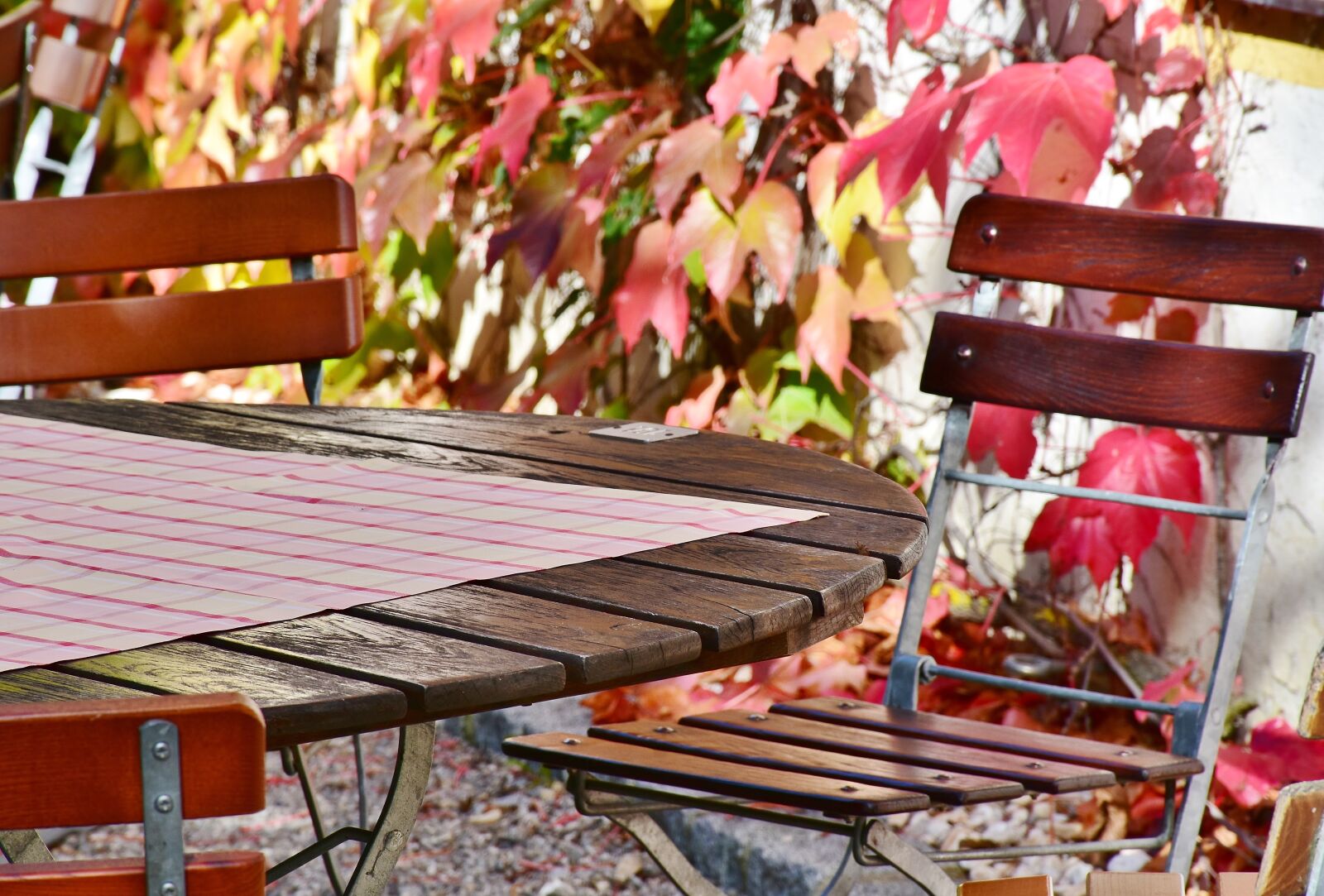 Nikon D7200 sample photo. Autumn, beer garden, wine photography