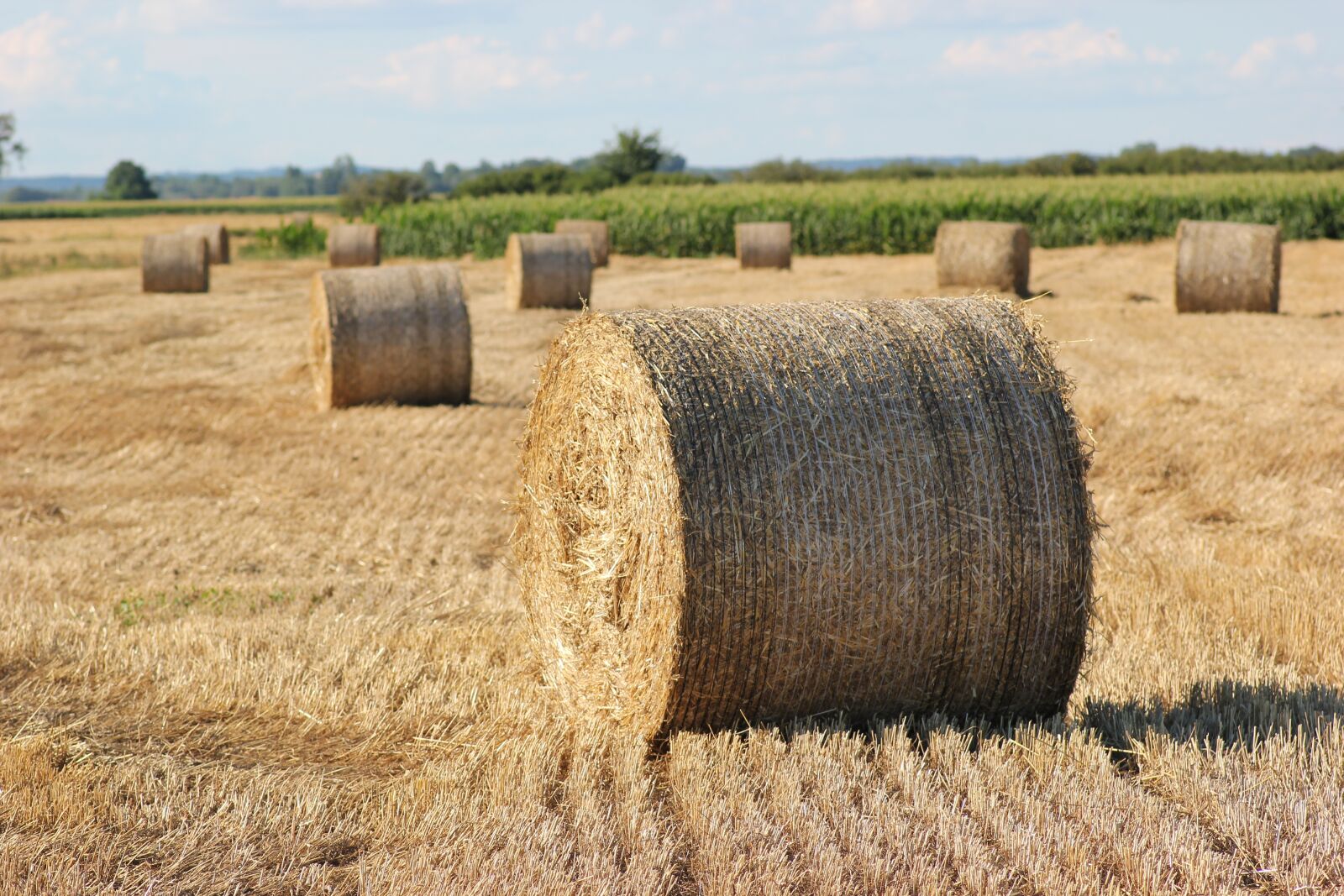 Canon EOS 550D (EOS Rebel T2i / EOS Kiss X4) sample photo. Straw bale, 1000 kg, agriculture photography
