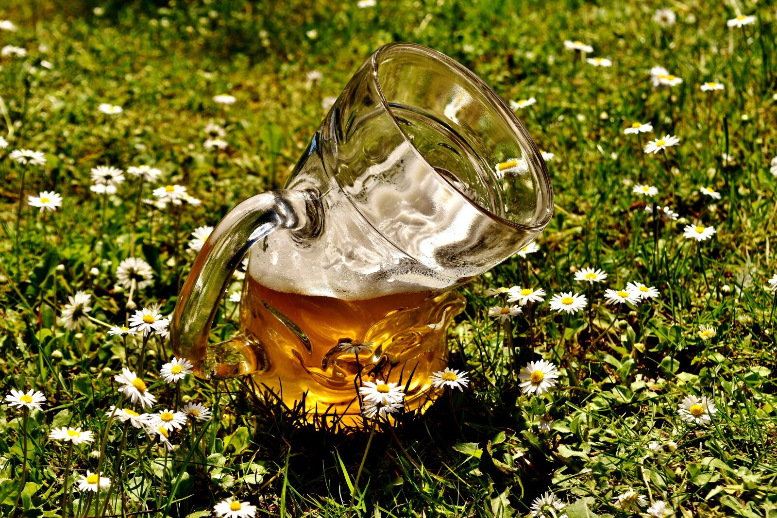 Nikon D7200 sample photo. Beer, beer glass, deformed photography