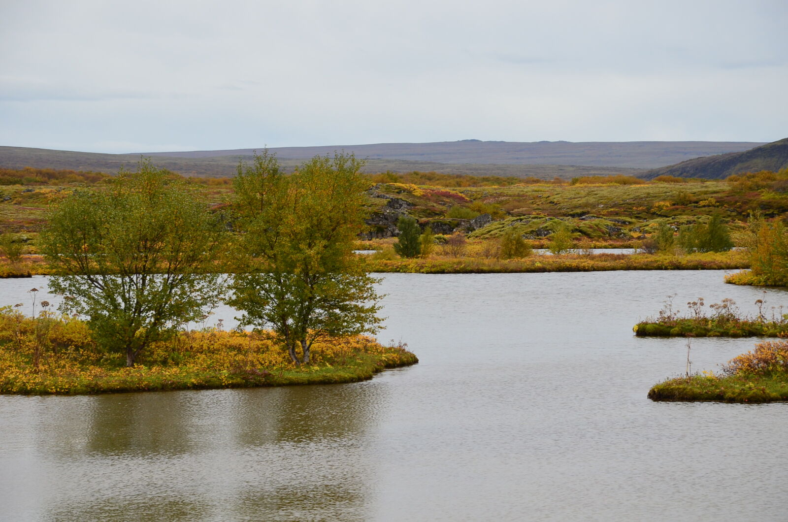 Nikon D5100 sample photo