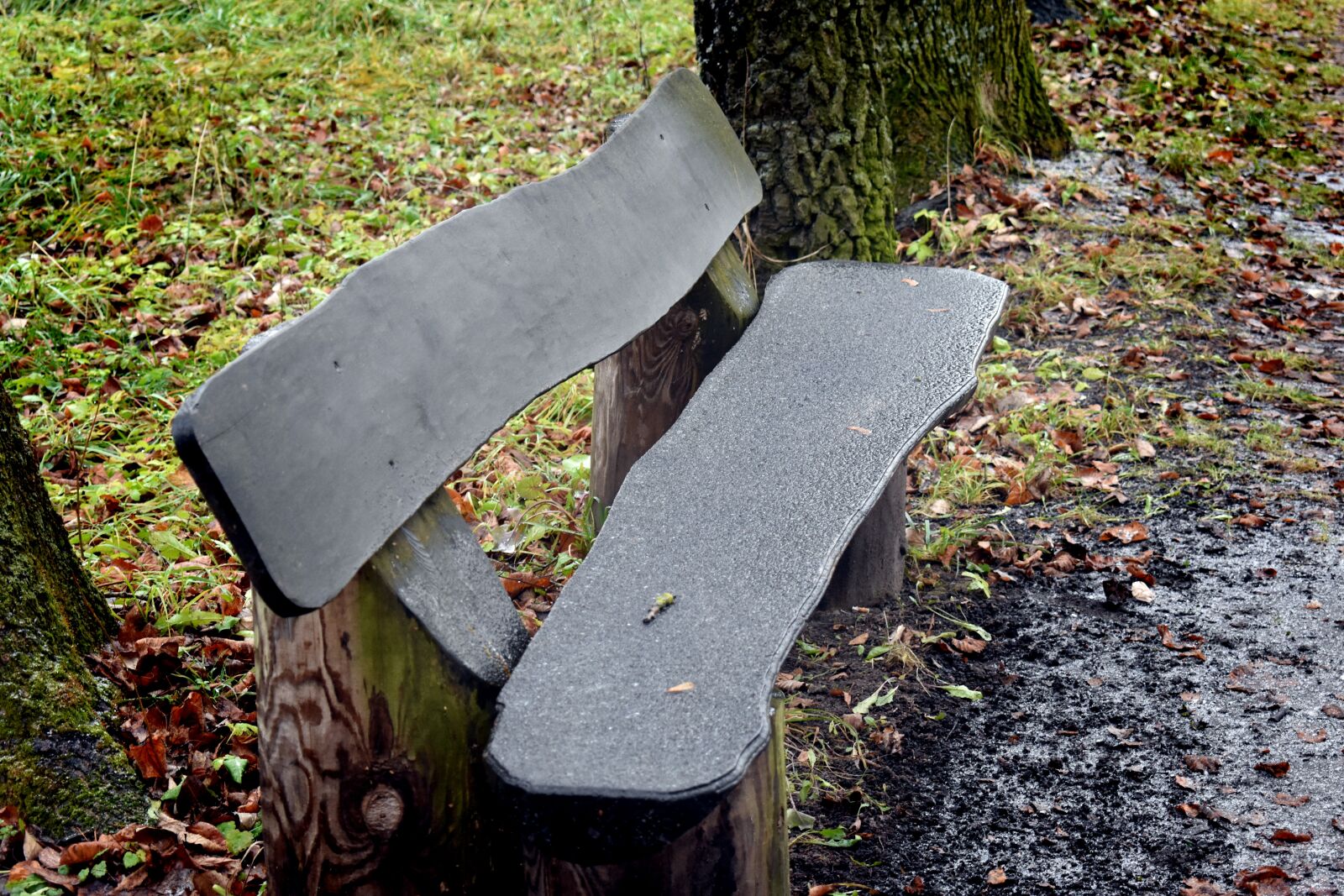 Nikon D3400 sample photo. Bench, park, autumn photography