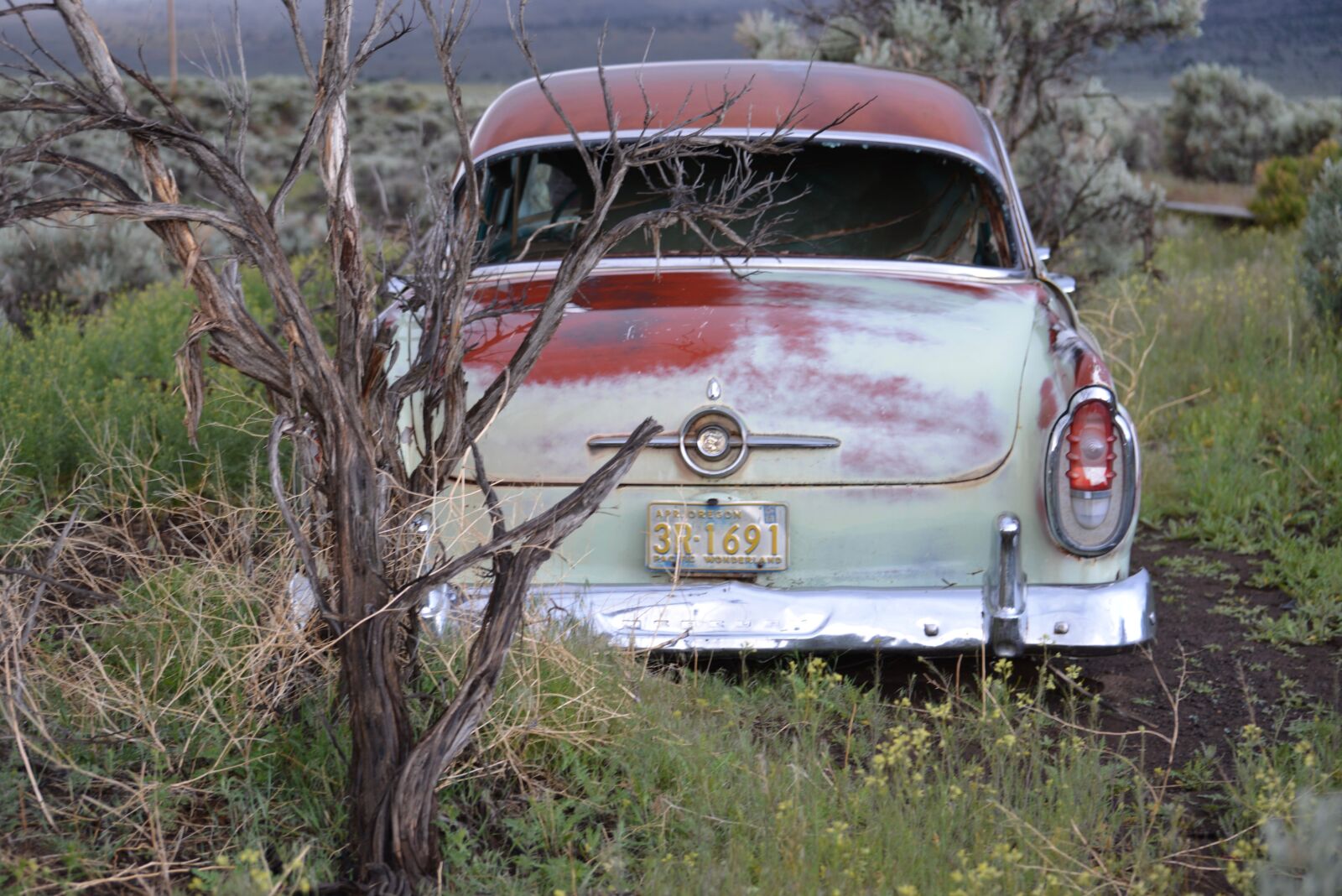 Nikon D600 sample photo. Classic car, vintage auto photography