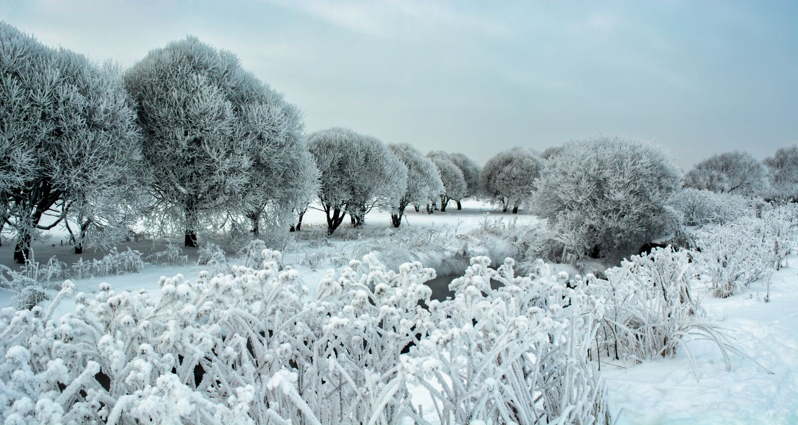 Nikon D5200 sample photo. Landscape, winter, nature photography