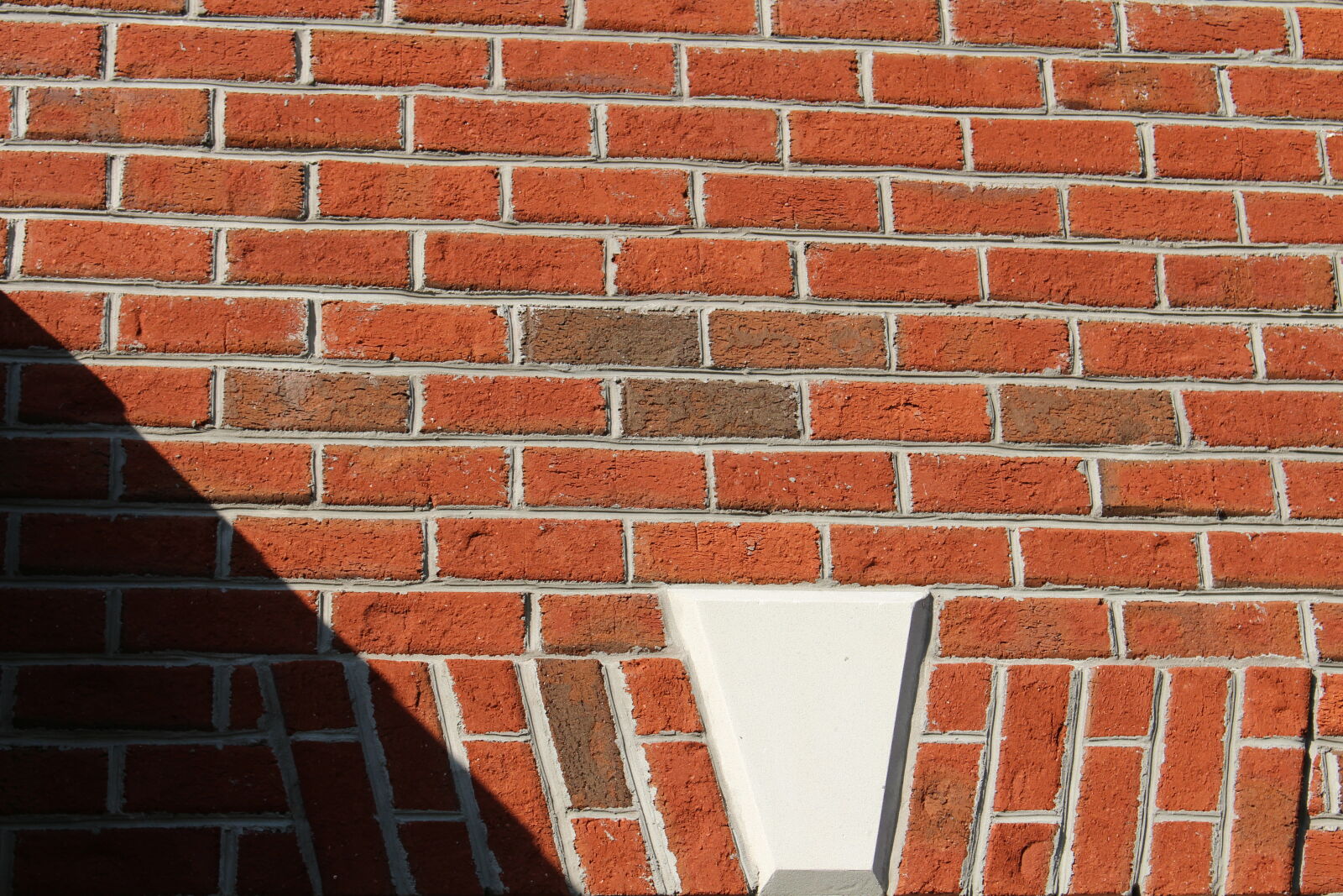 Canon EOS 700D (EOS Rebel T5i / EOS Kiss X7i) sample photo