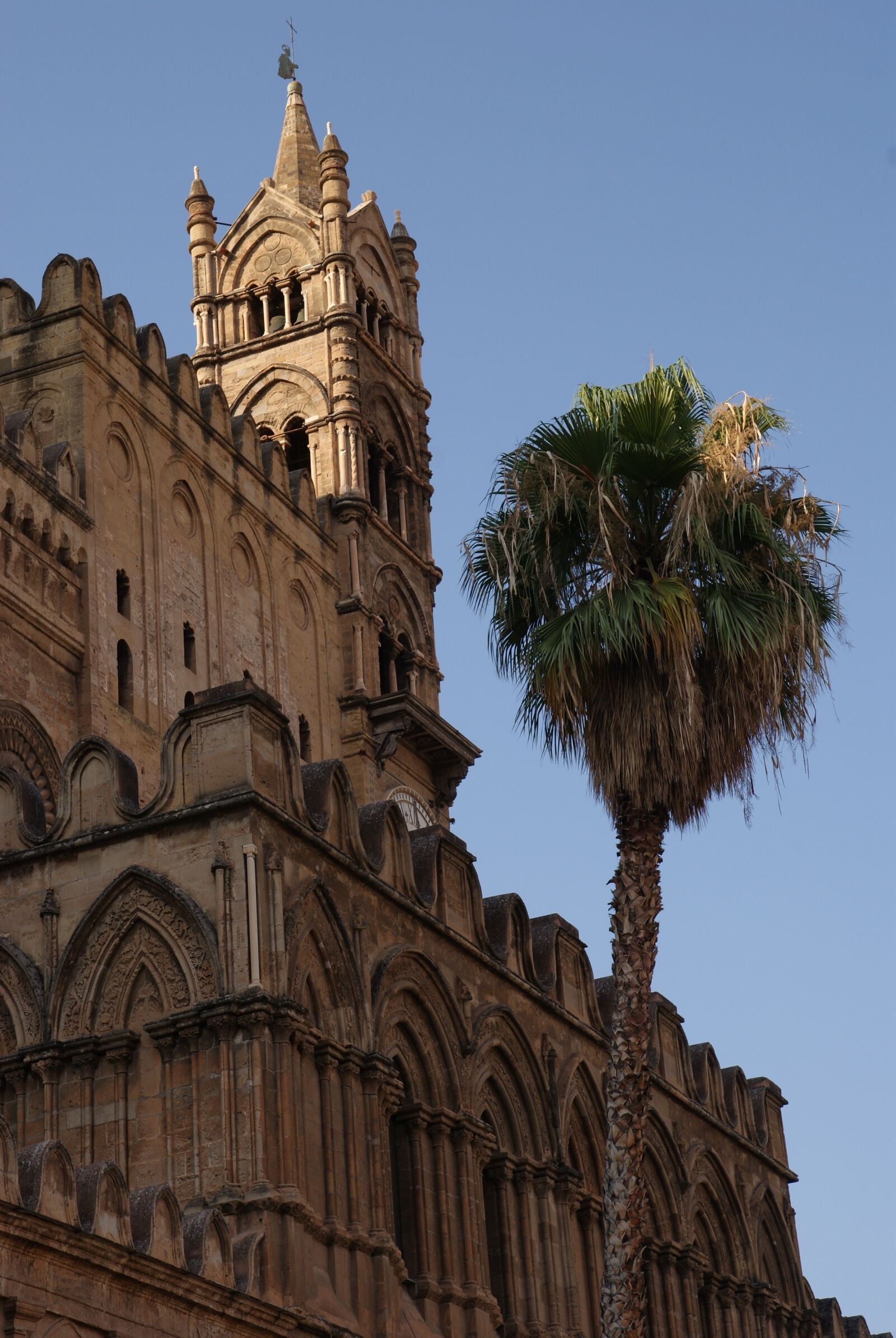 Sony Alpha DSLR-A200 sample photo. Palermo, italy, italia photography