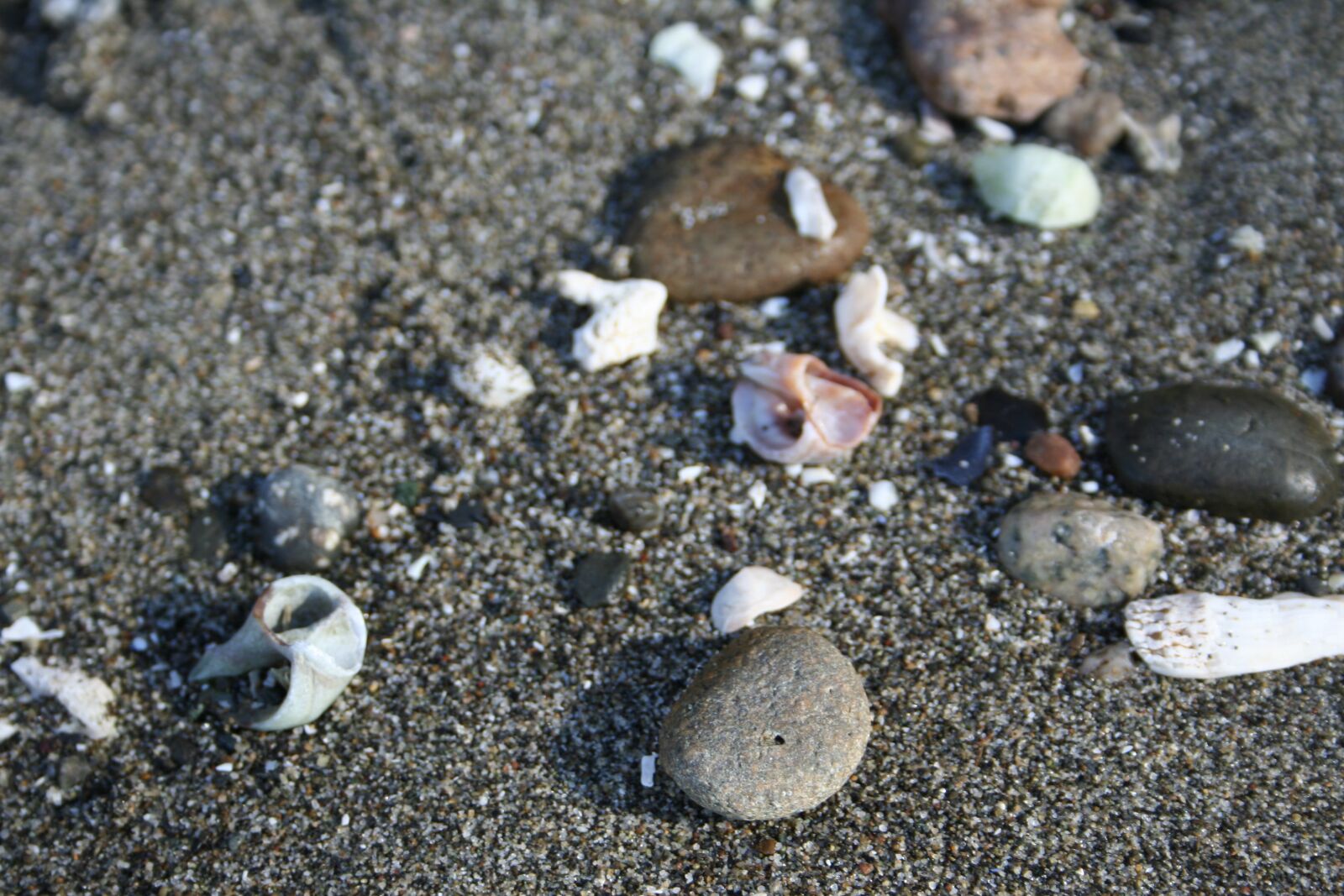 Canon EOS 350D (EOS Digital Rebel XT / EOS Kiss Digital N) sample photo. Sand, rocks, shells photography