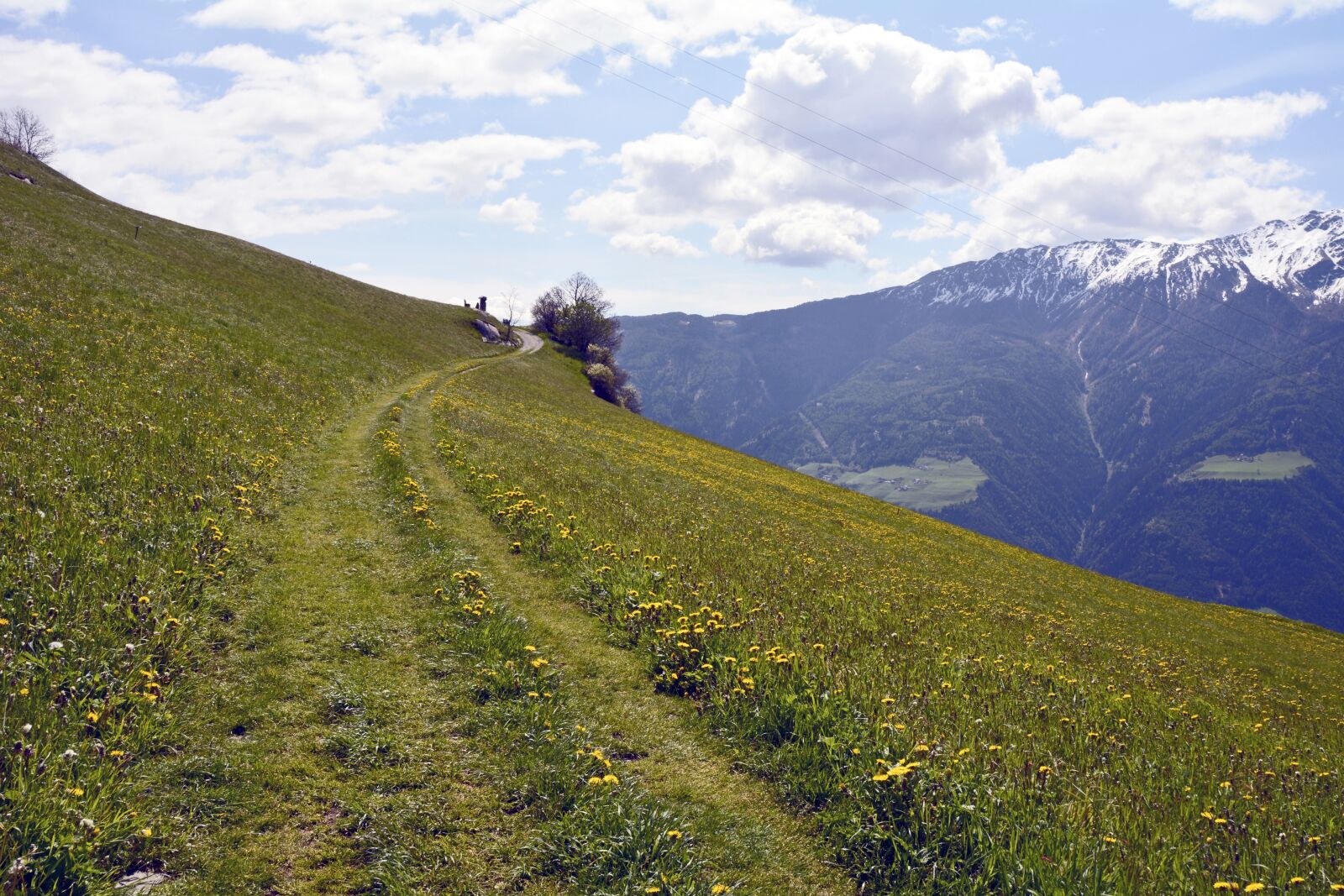 Nikon D7100 sample photo. Trail, away, meadow photography