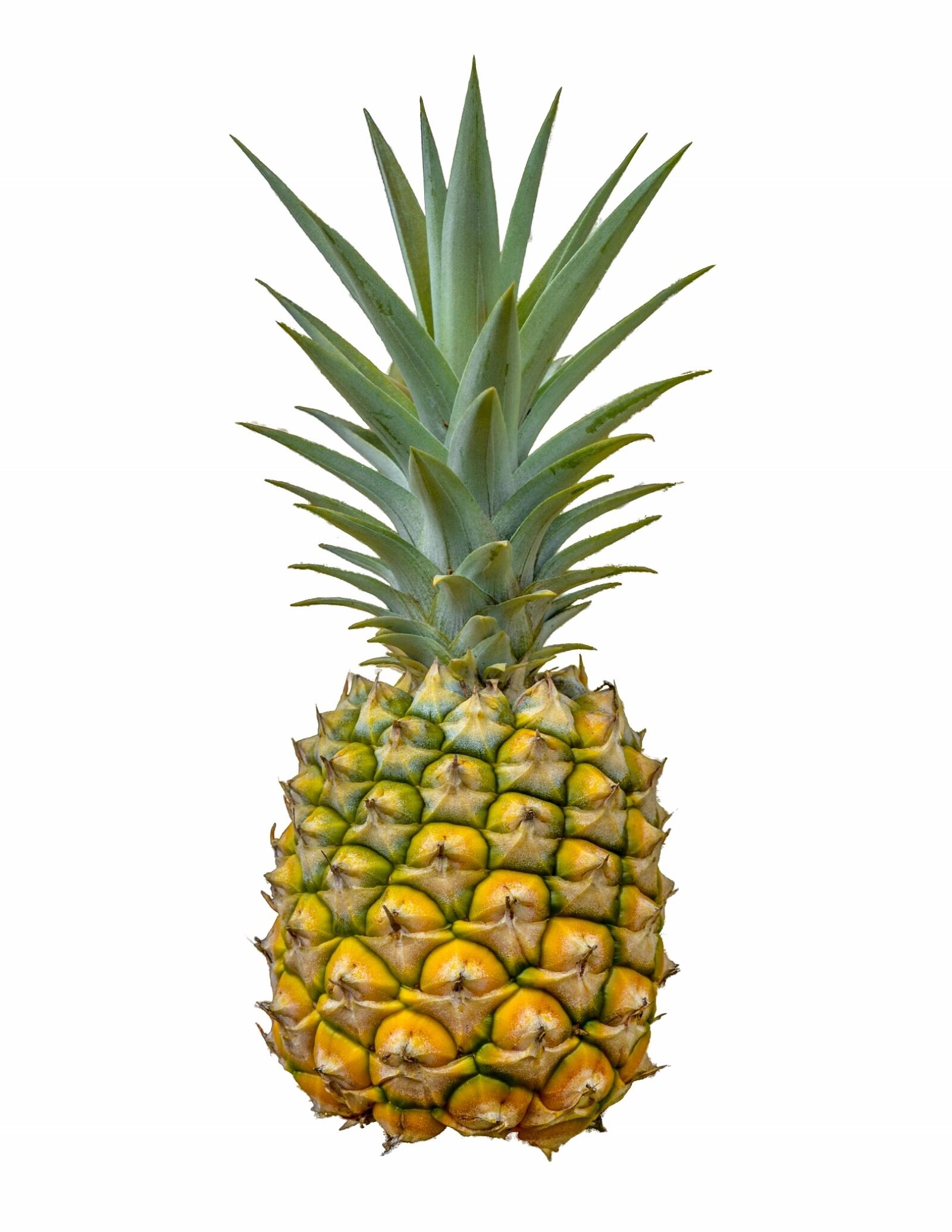 Nikon D5100 sample photo. Pineapple, fruit, white background photography
