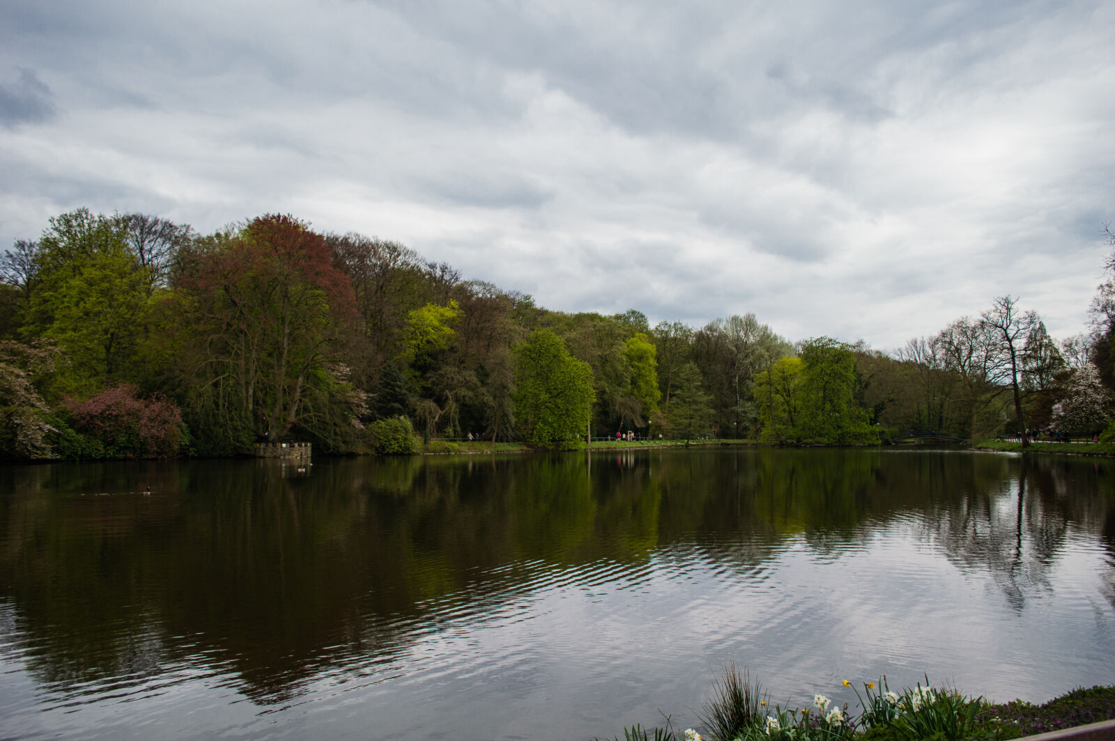 Nikon D3200 sample photo