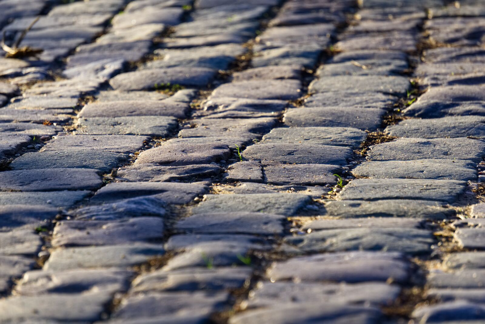 Sony a6000 sample photo. Paving stones, cobblestones, away photography