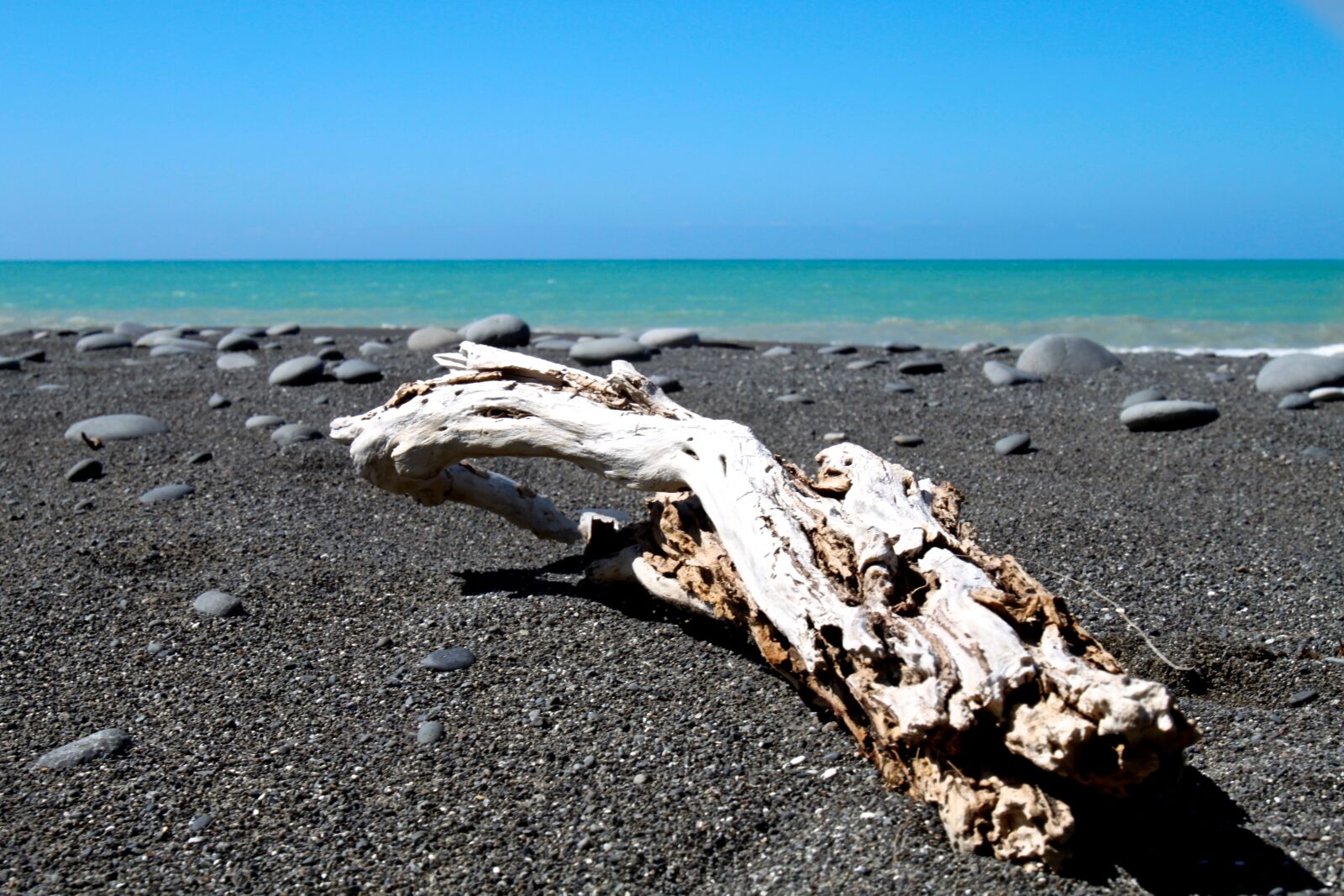 Canon EOS 500D (EOS Rebel T1i / EOS Kiss X3) sample photo. Sea, stick, rock photography