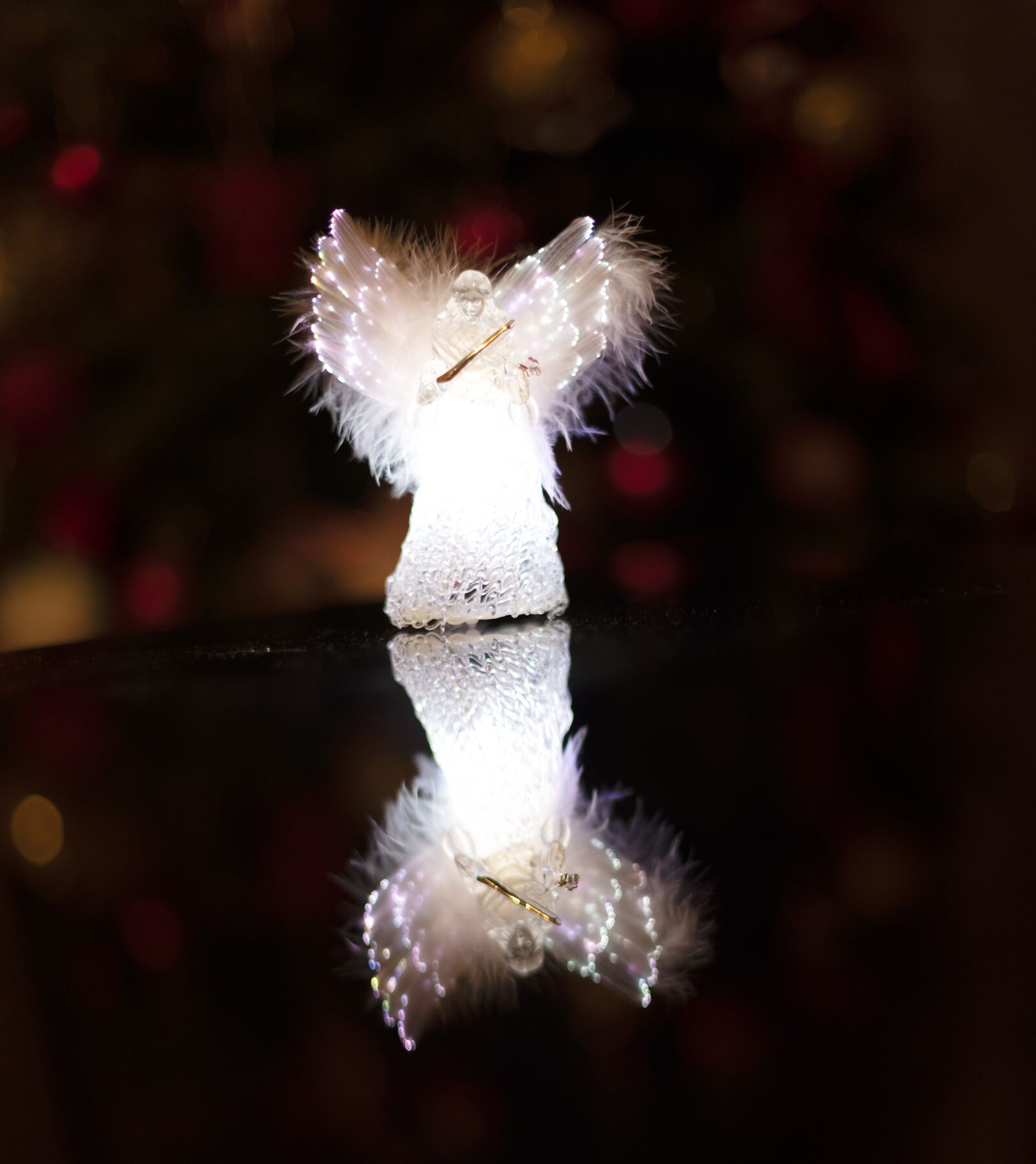 Nikon D750 sample photo. Christmas, lights, holiday photography
