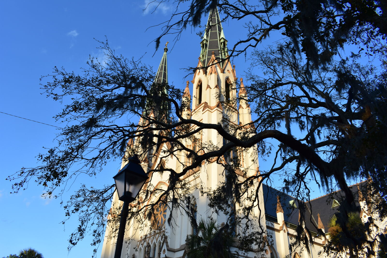 Nikon AF-P DX Nikkor 18-55mm F3.5-5.6G sample photo. Cathedral, georgia, oldtown, savannah photography