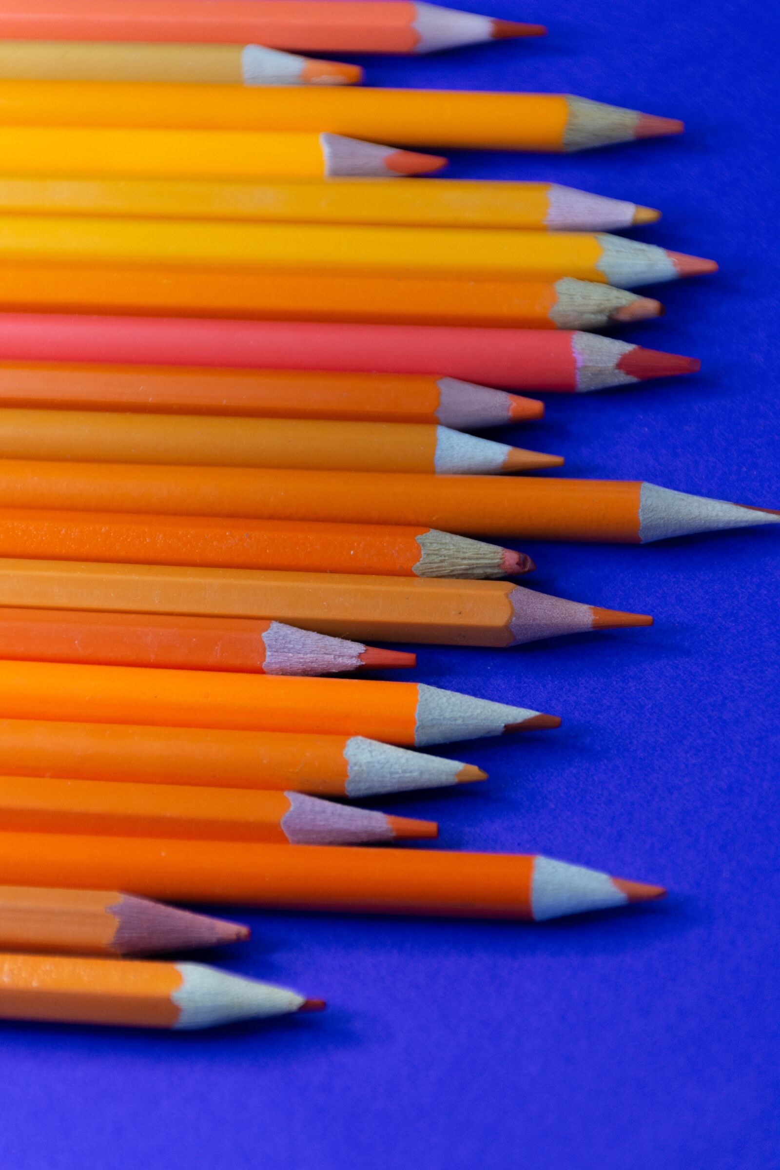 Nikon D7200 sample photo. Pencils, pink, purple photography