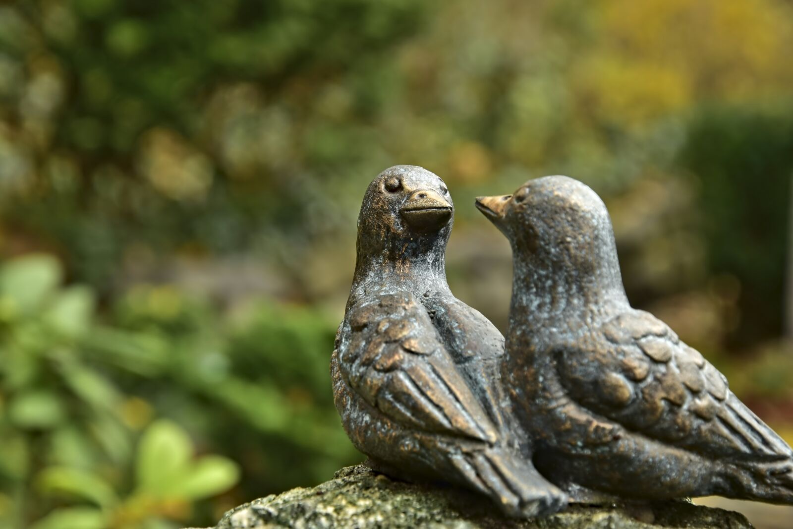 Nikon D5600 sample photo. Sparrows, birds, figures photography
