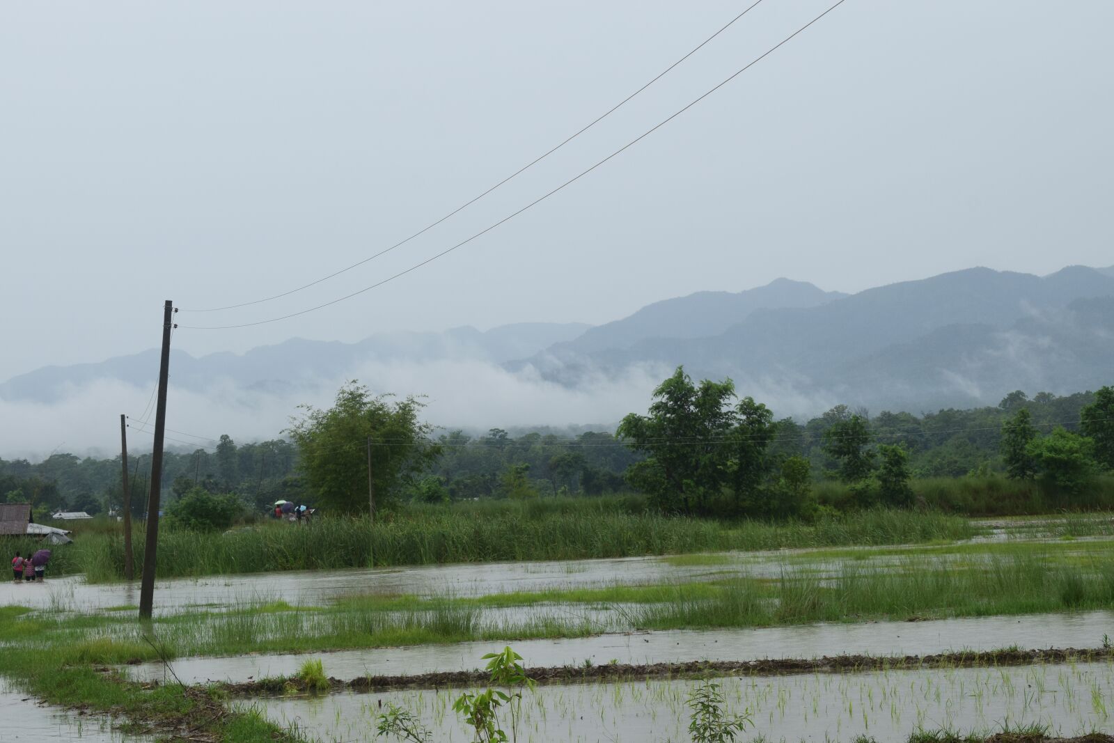 Nikon D5300 sample photo. Monsoon rain, rain, monsoon 2020 photography