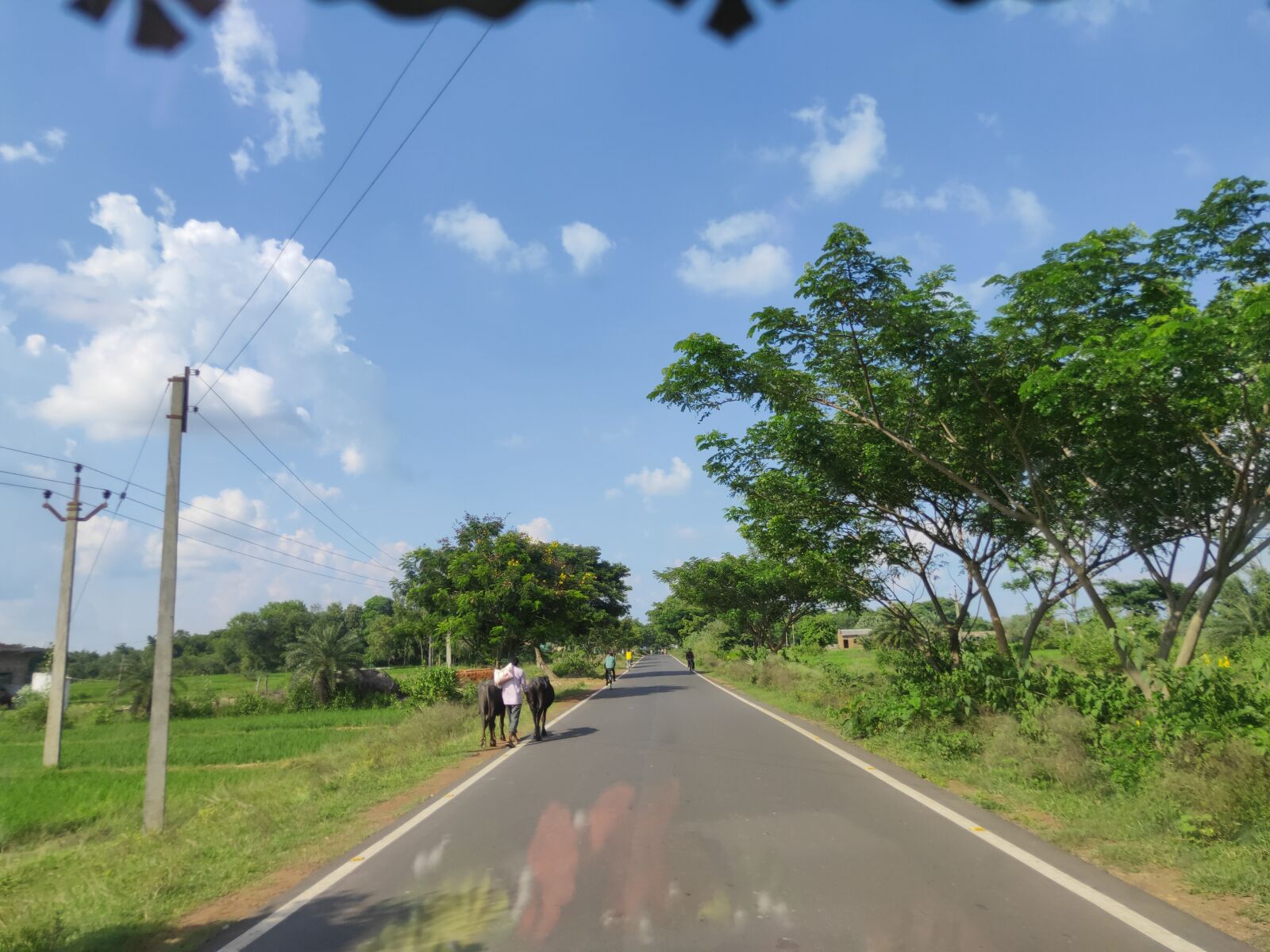 Realme 3 PRO sample photo. Road, forest, trees photography