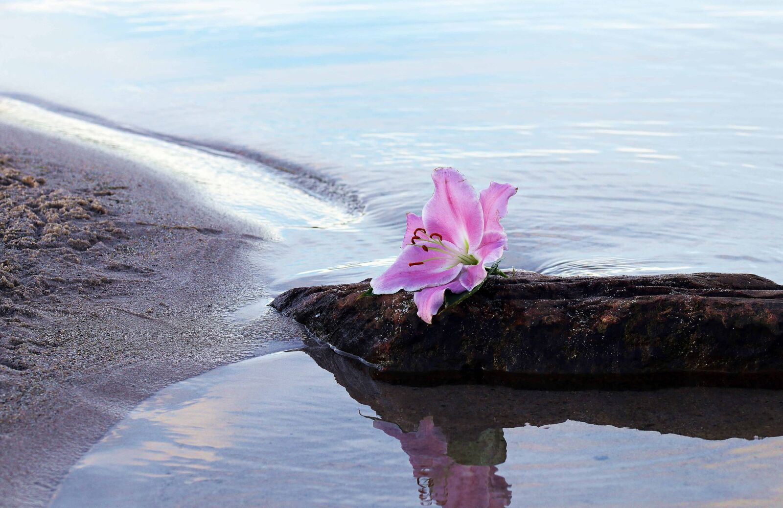 Canon EOS 80D sample photo. Beach, water, seashore, sea photography