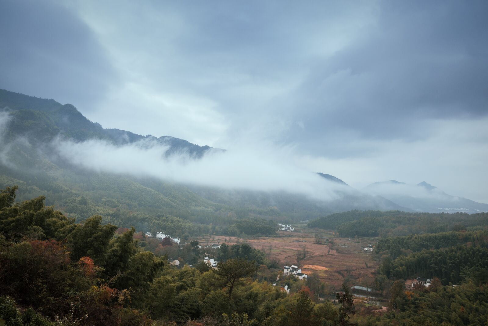 Nikon D750 sample photo. Mountains, forest, nature photography