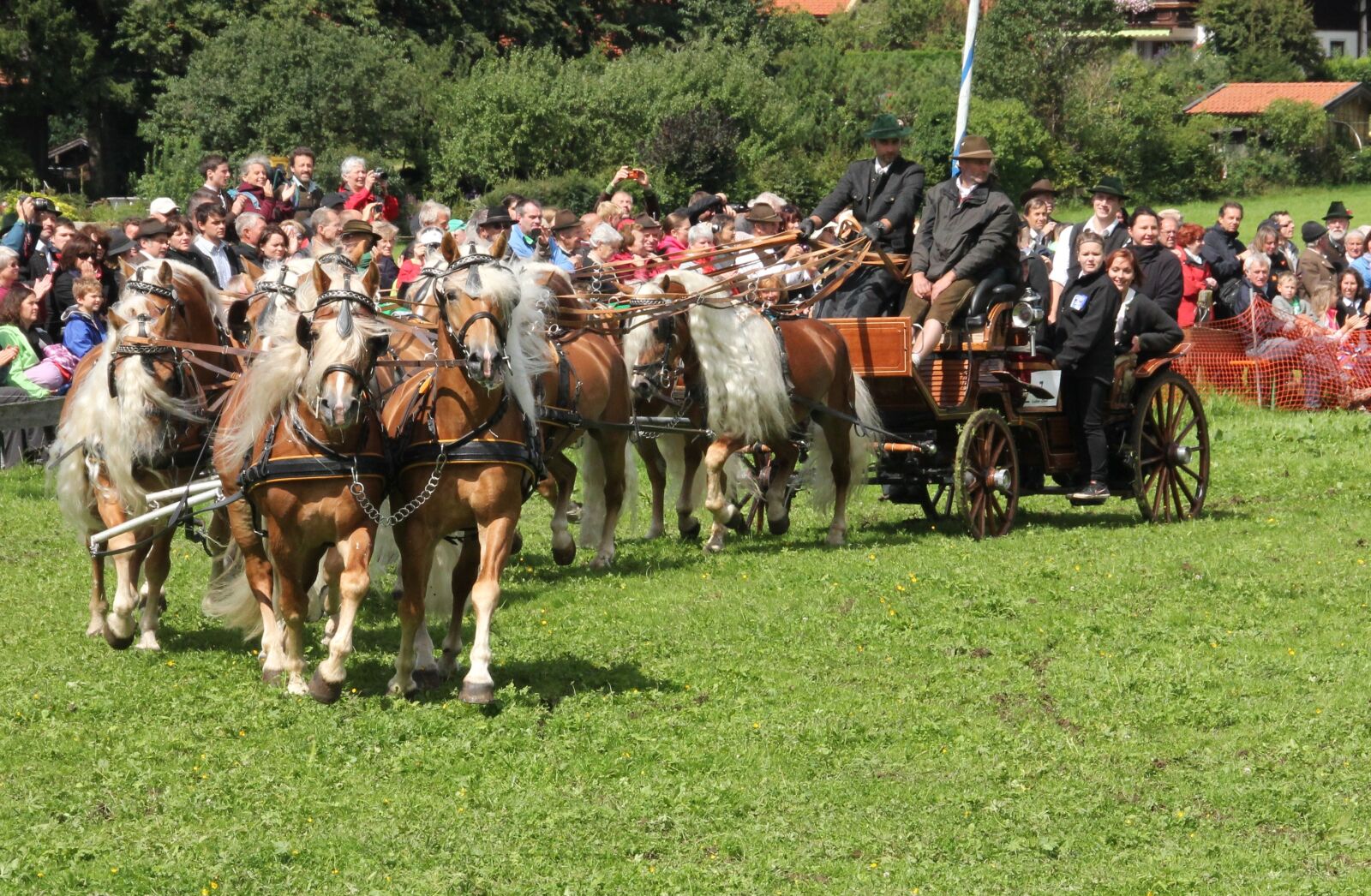 Canon EOS 550D (EOS Rebel T2i / EOS Kiss X4) sample photo. Cavalry, human, mammal photography