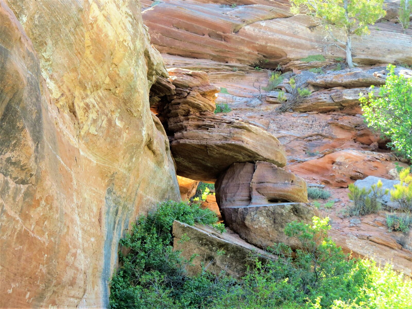 Canon PowerShot SX50 HS sample photo. Unusual rock formation, geology photography