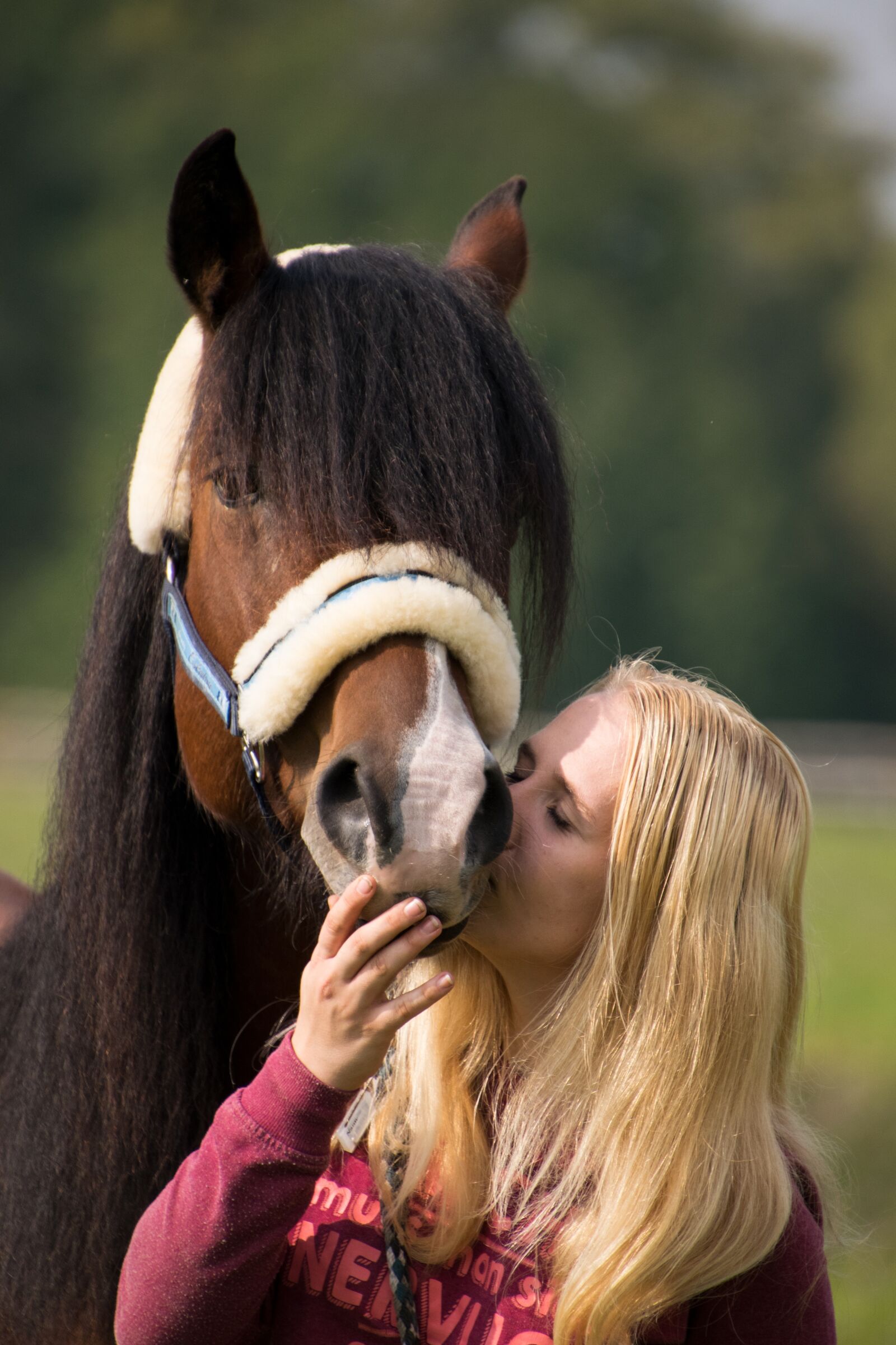 Nikon D3300 sample photo. Horse, friendship, trust photography