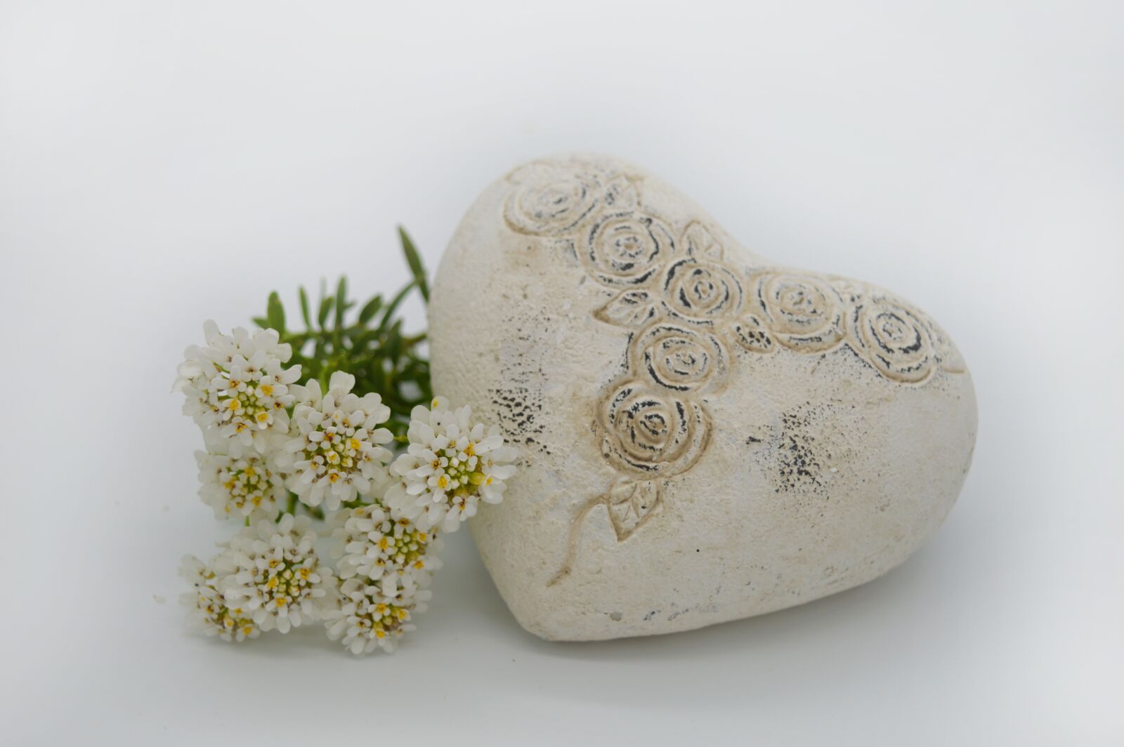 Nikon D3200 sample photo. Heart, candytuft, mother's day photography