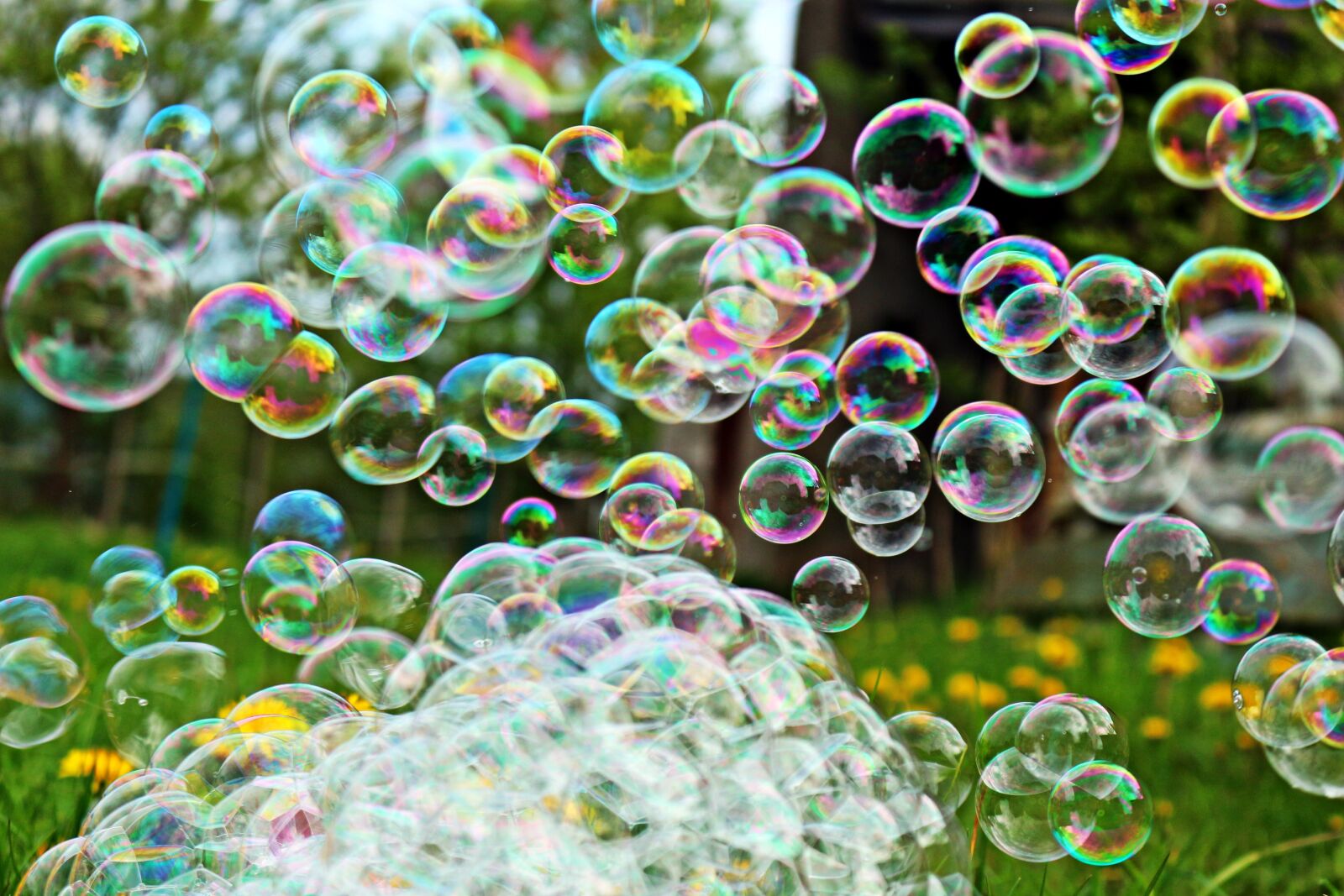 Canon EOS 100D (EOS Rebel SL1 / EOS Kiss X7) sample photo. Soap bubble, spring, meadow photography