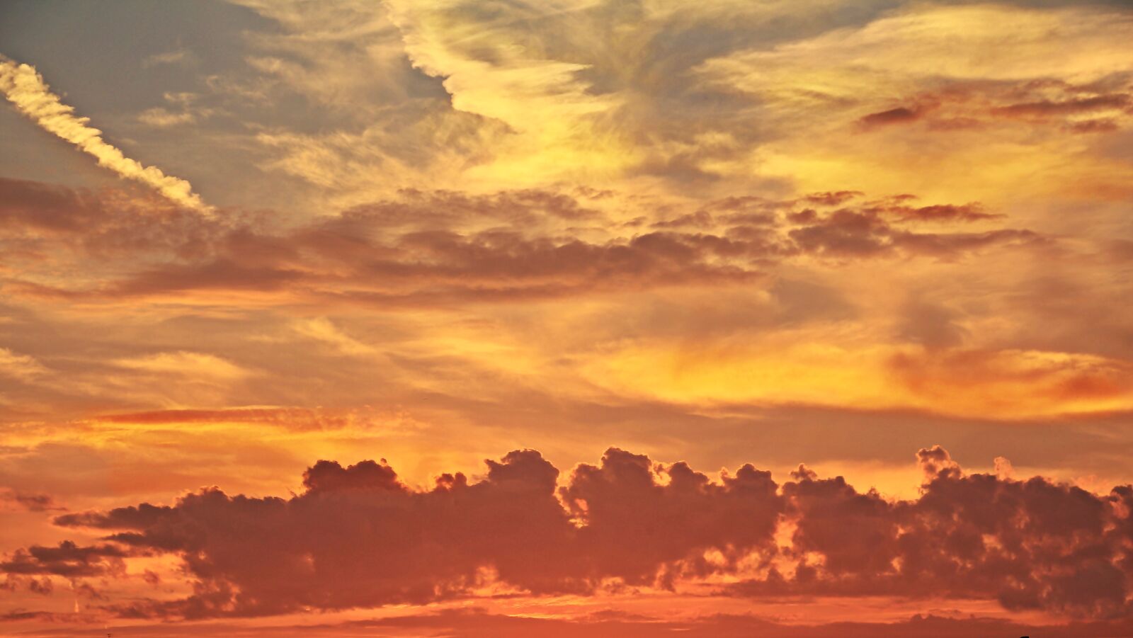 Canon EOS 550D (EOS Rebel T2i / EOS Kiss X4) sample photo. Sunset, evening sky, atmospheric photography