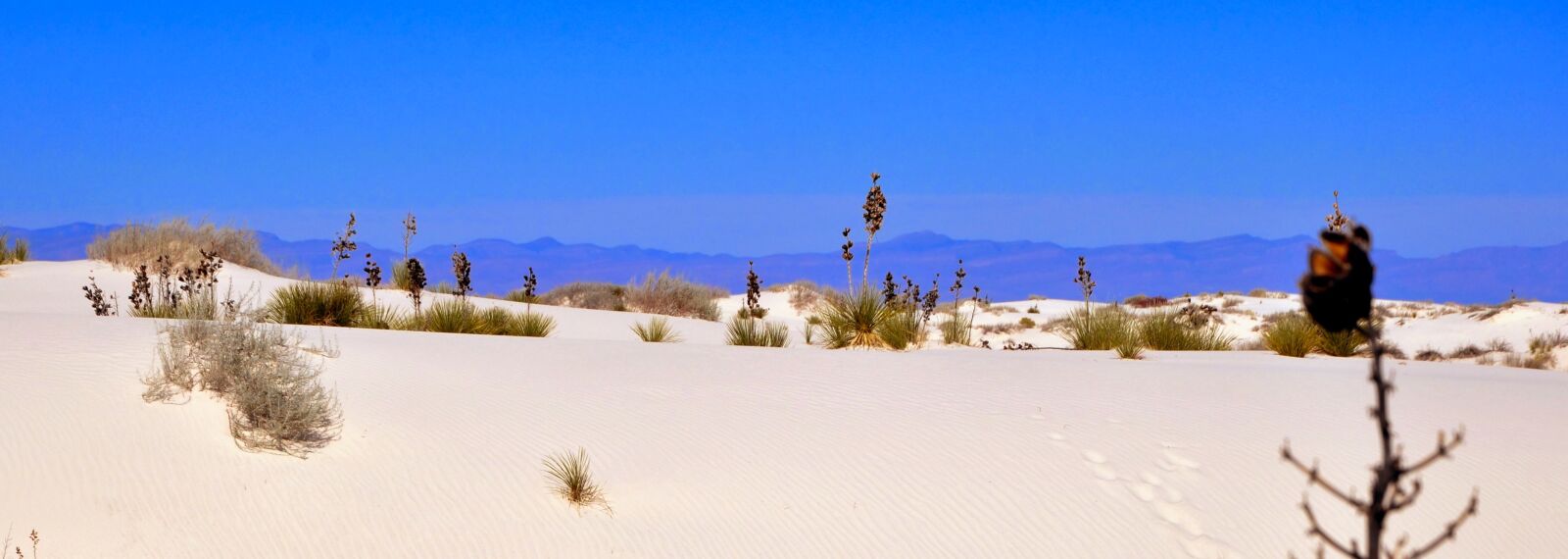Nikon D5000 sample photo. Road, trip, freedom photography