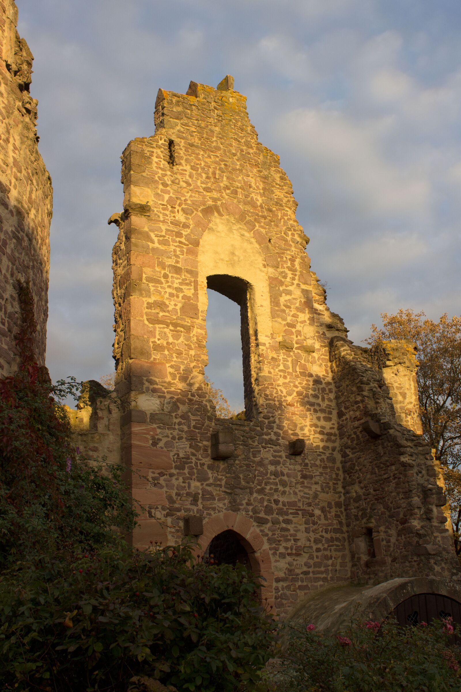 Canon EOS 600D (Rebel EOS T3i / EOS Kiss X5) sample photo. Burgruine, three oak grove photography