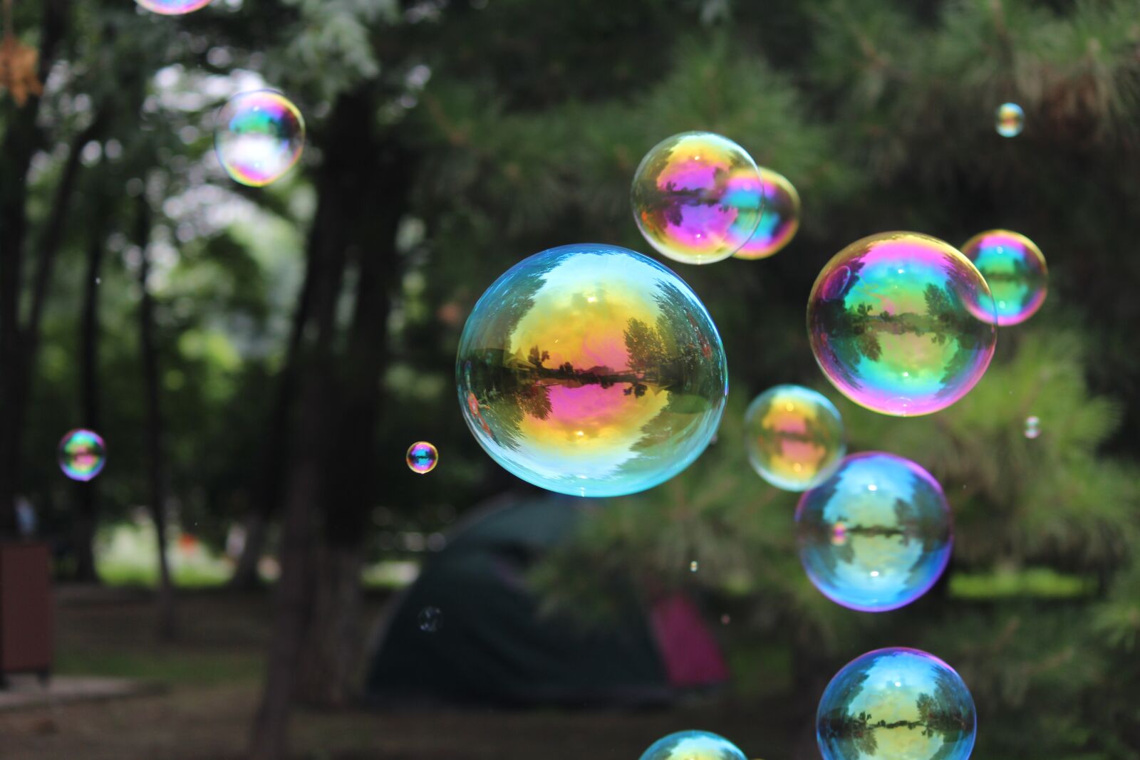 Canon EOS 1200D (EOS Rebel T5 / EOS Kiss X70 / EOS Hi) sample photo. Bubble, reflection, rainbow photography