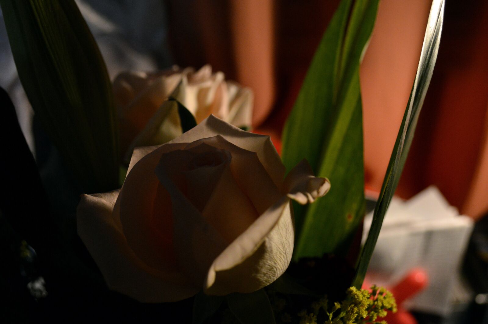 Nikon D3200 sample photo. Roses, flowers, bouquet photography